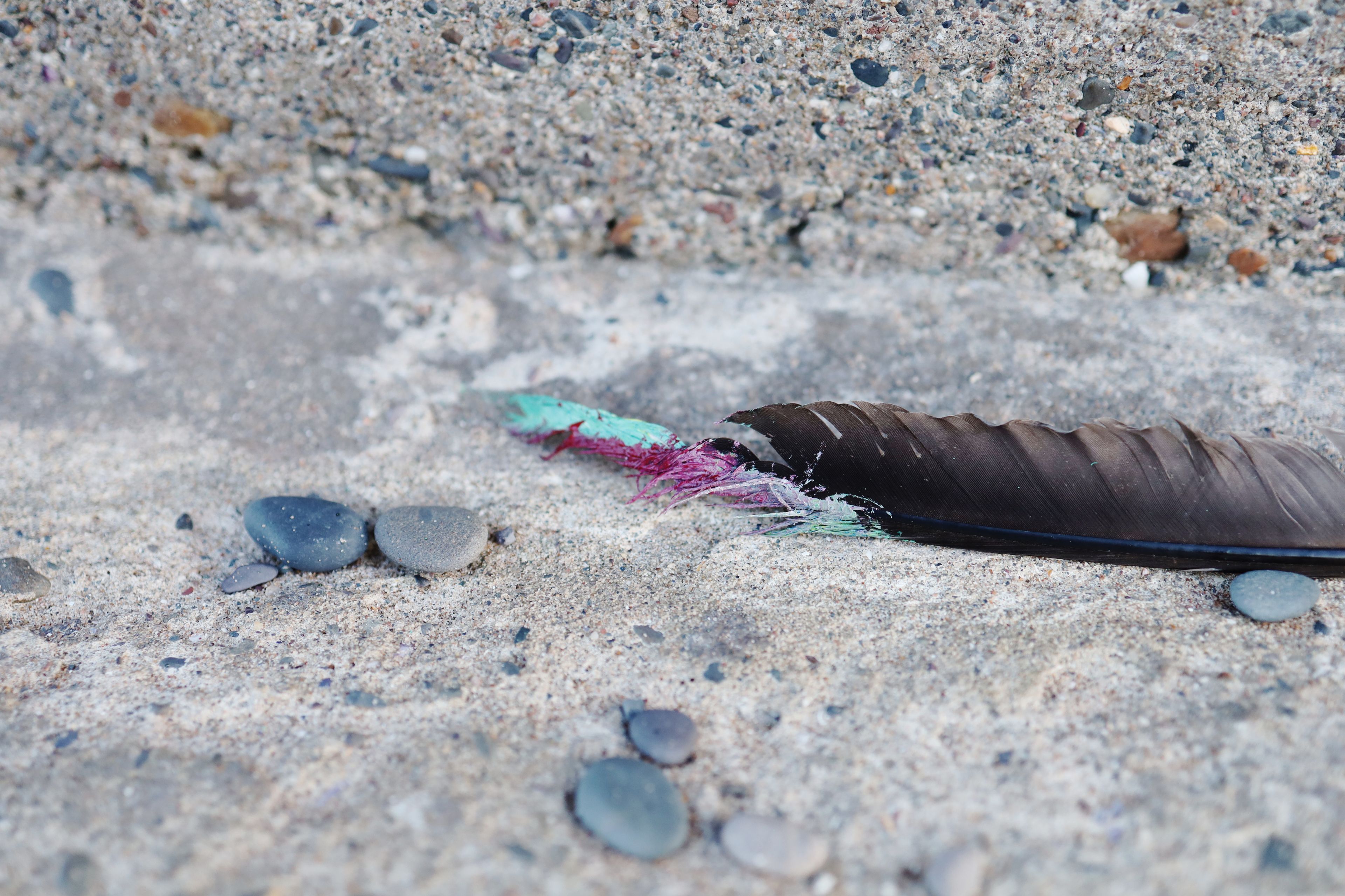 fleetwood feather by Peter Piek