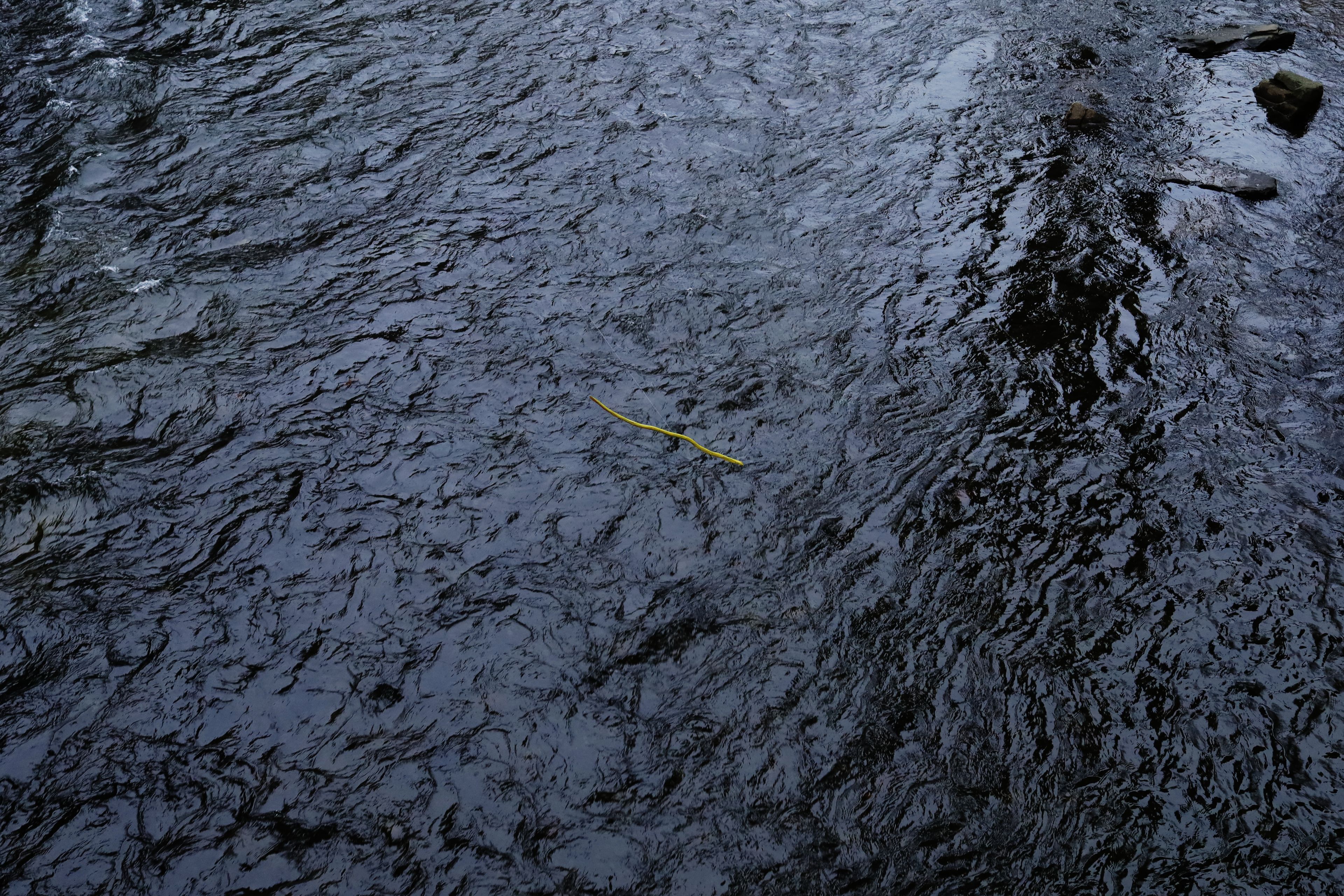Sehnsucht by Peter Piek