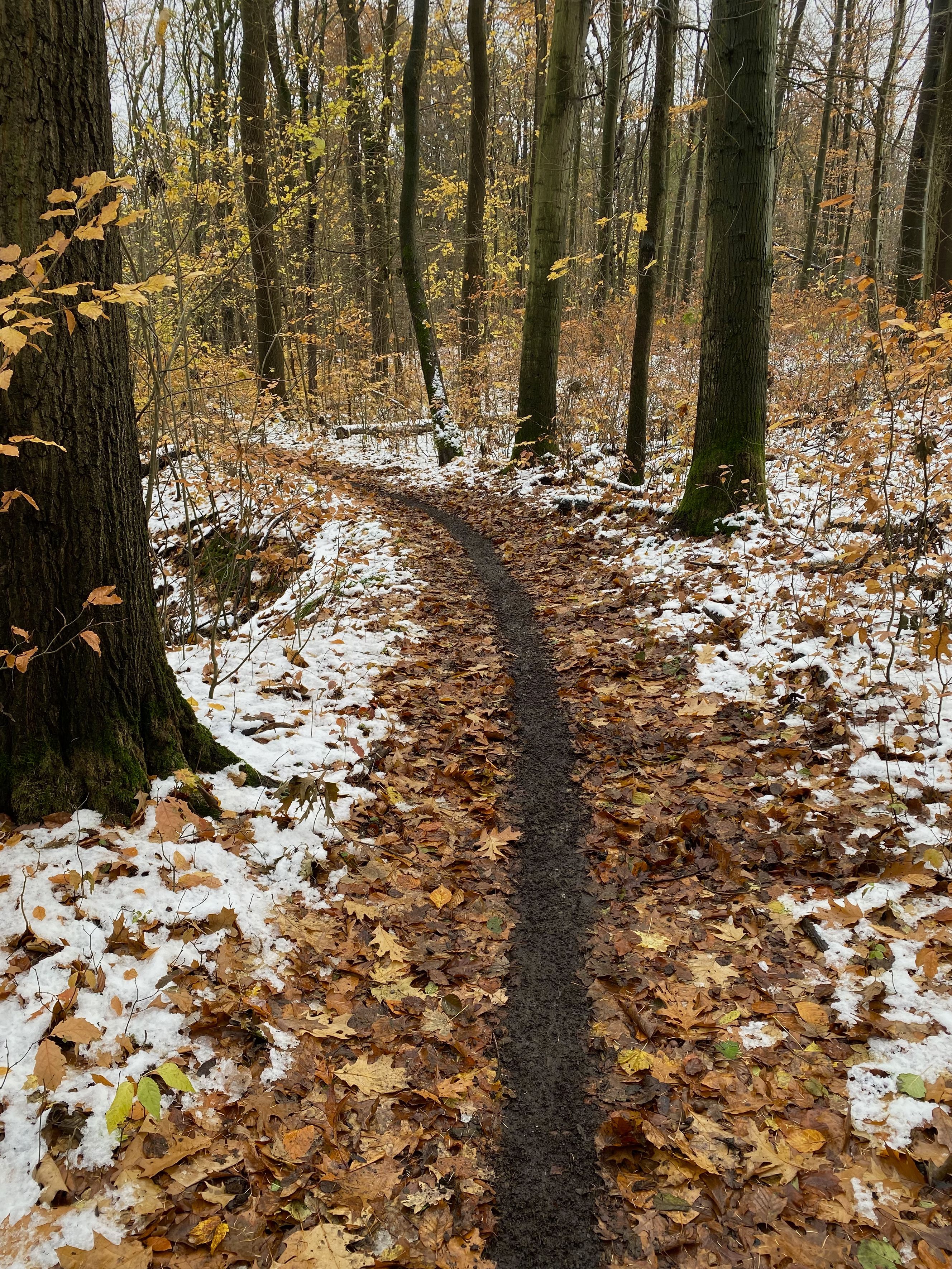back and forth to the source by Ellen Isabell Richter