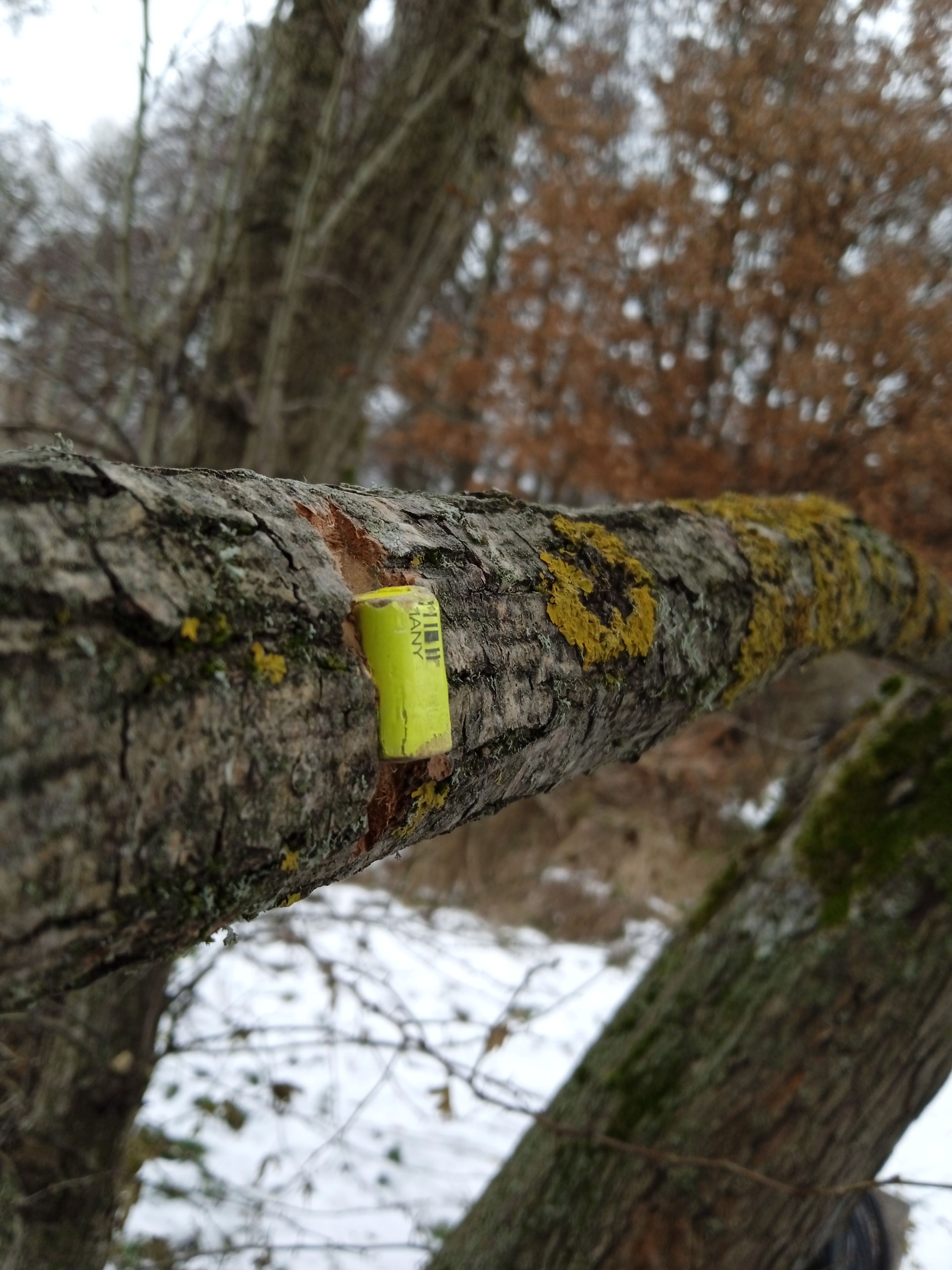 Wanderlust by Johannes Myller