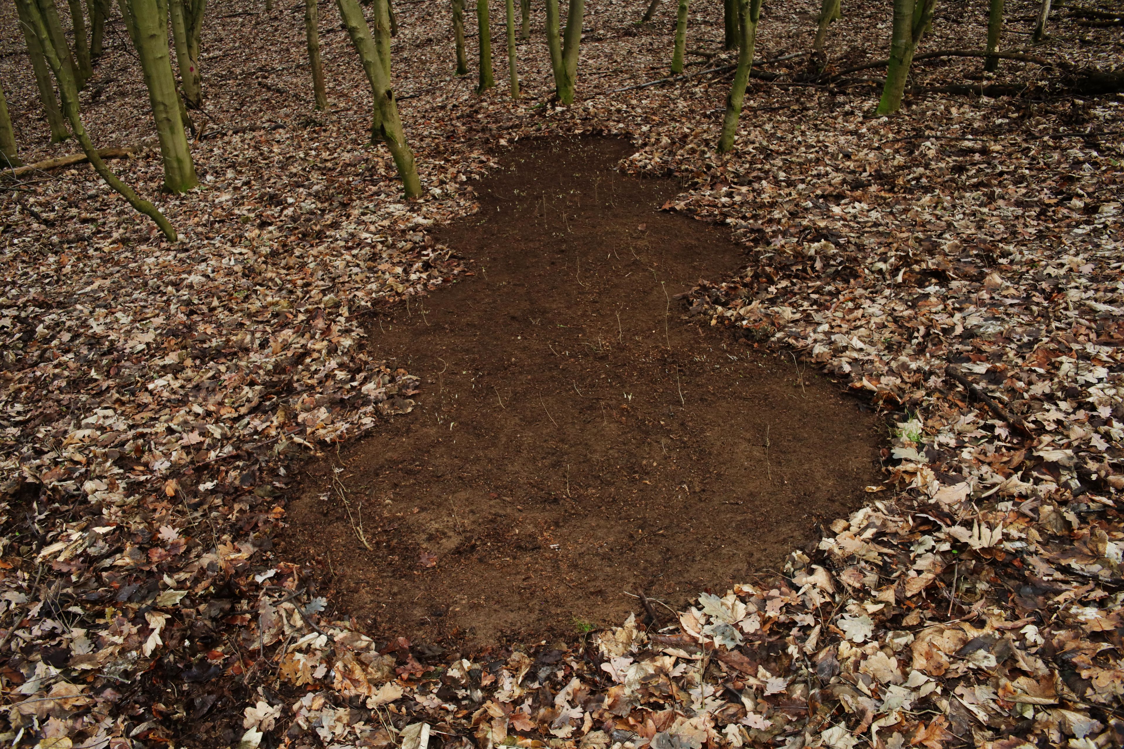 Der Weg wird es zeigen by Ellen Isabell Richter