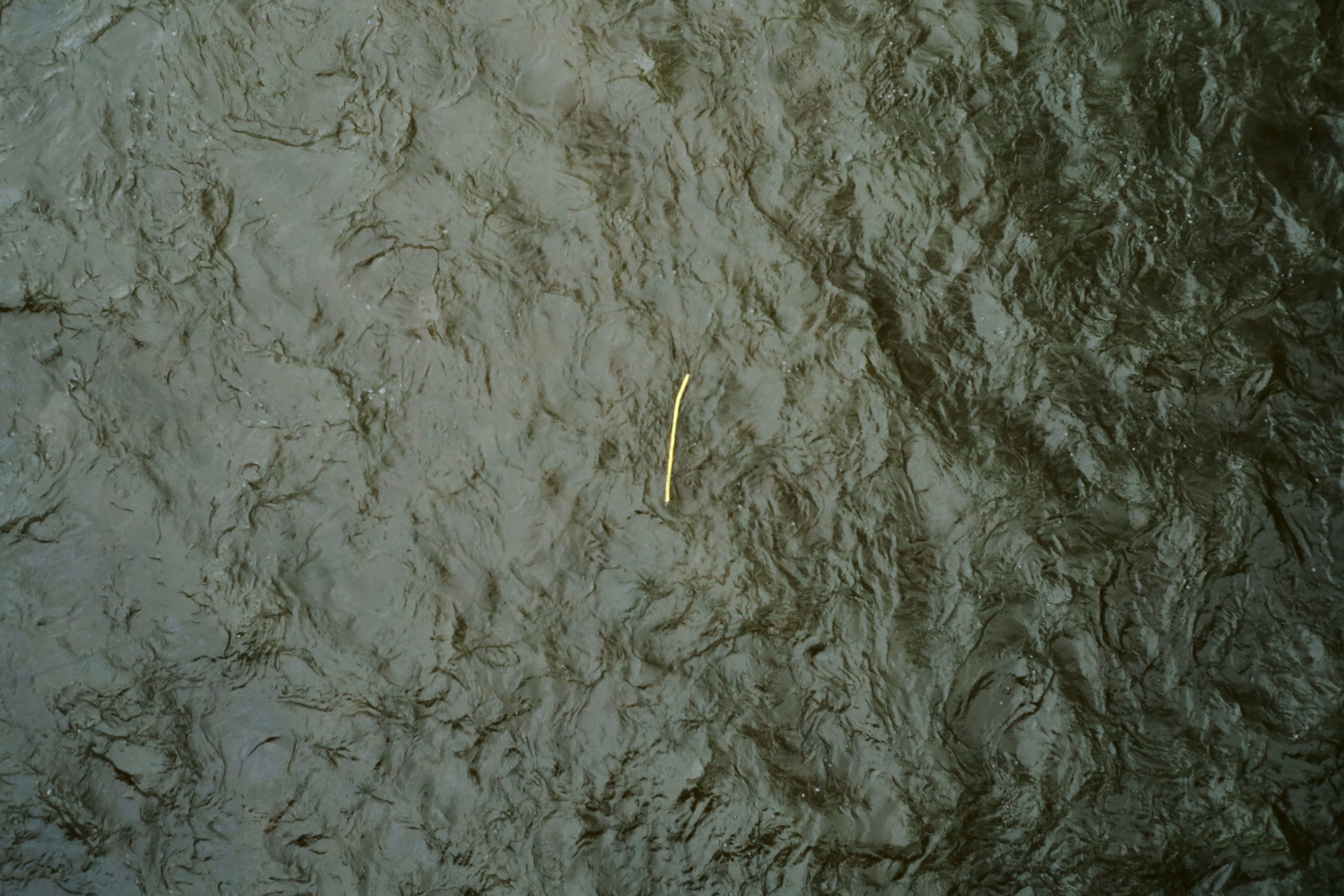 kurz vor der Mündung, in Stilstand im Wasser by Peter Piek