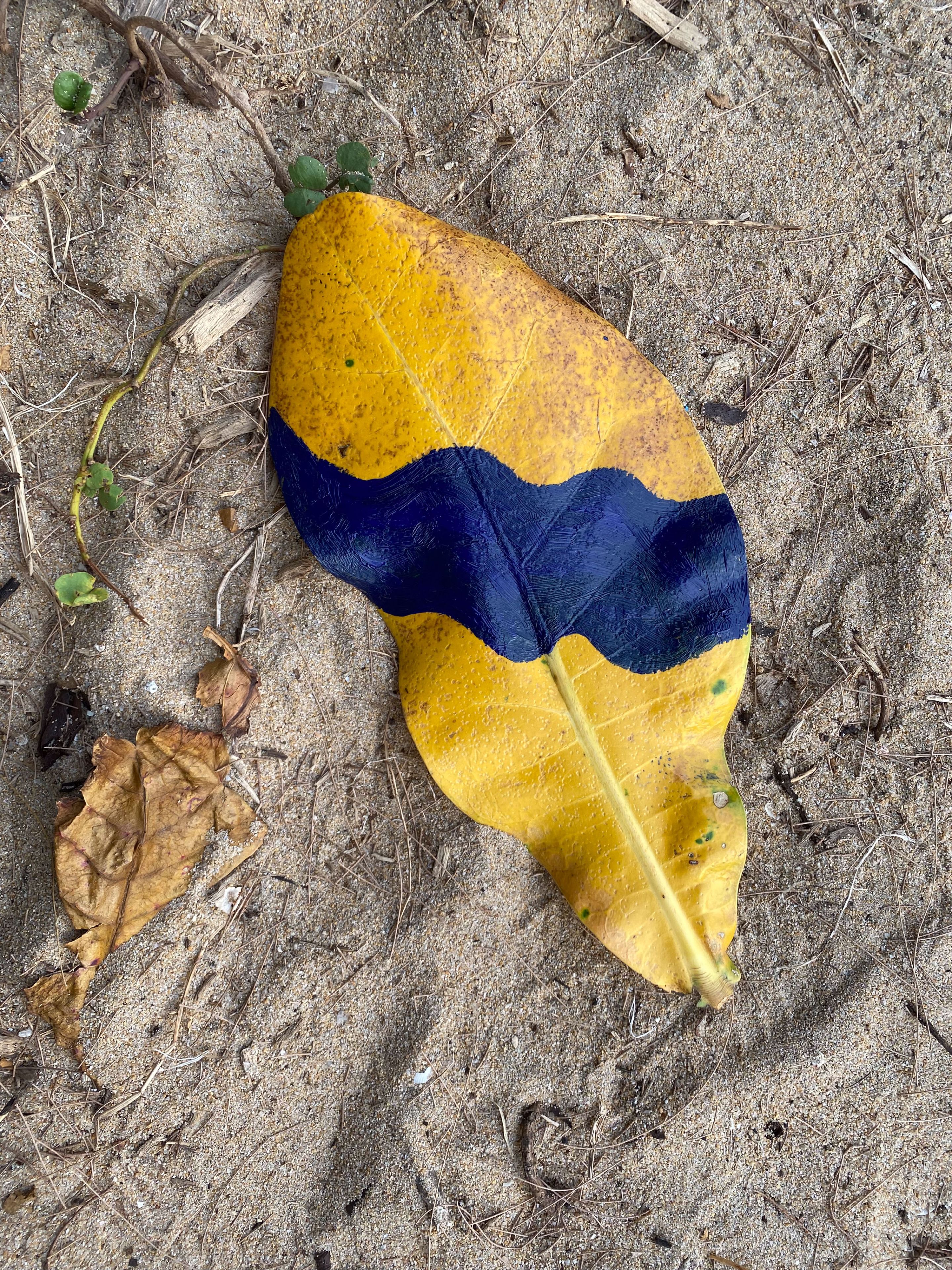 Leaf by Ellen Isabell Richter