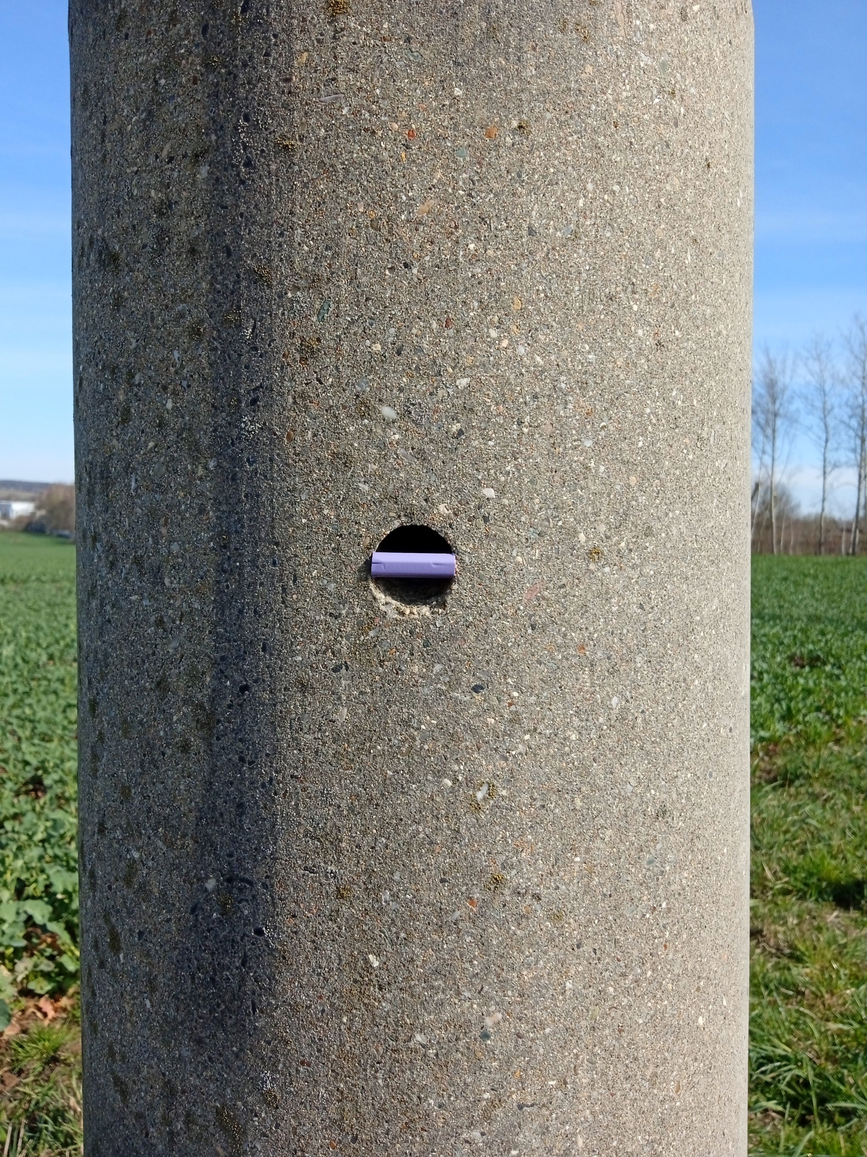 Straßenlaterne by Johannes Myller