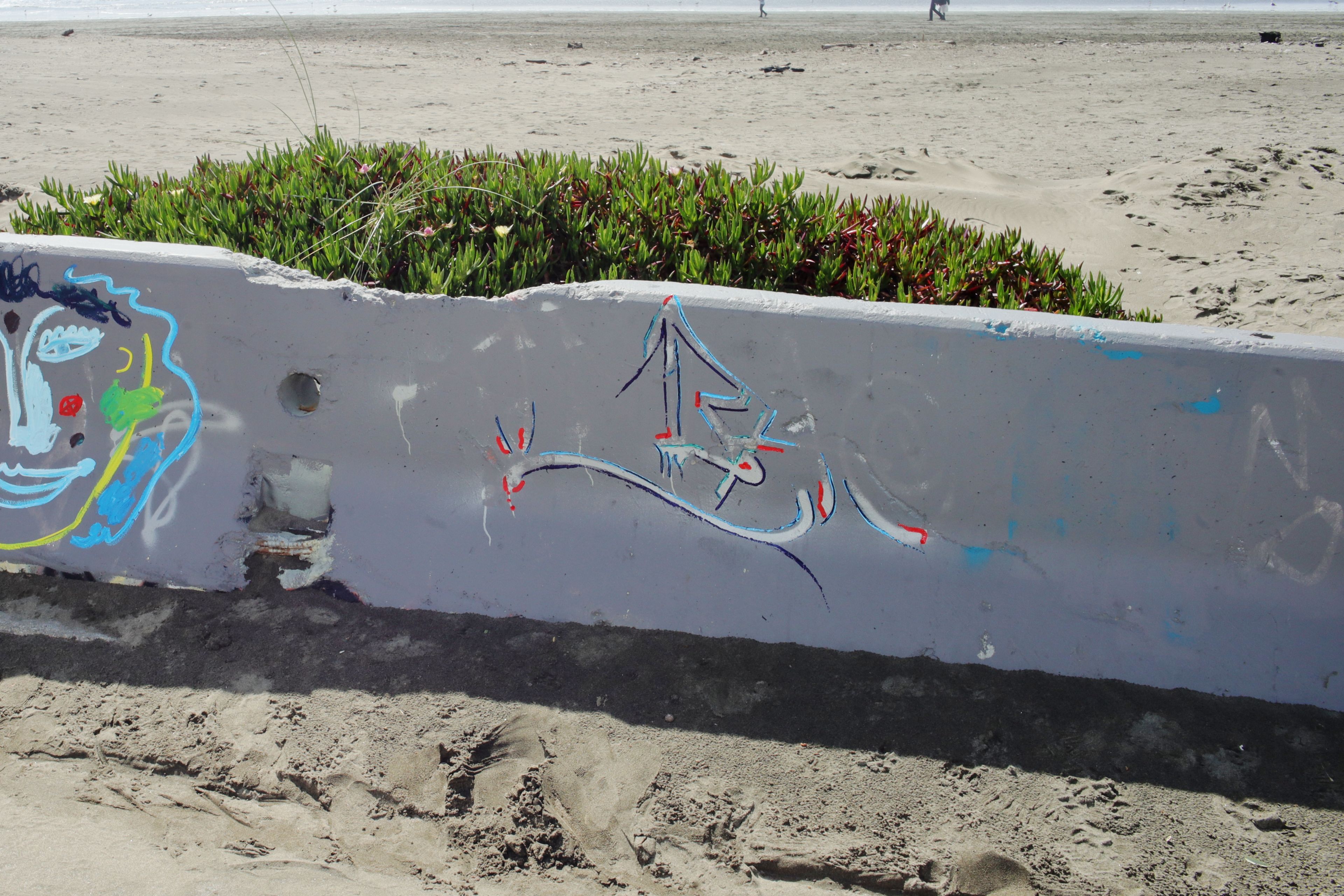 Beach Cover Up by John Roemer