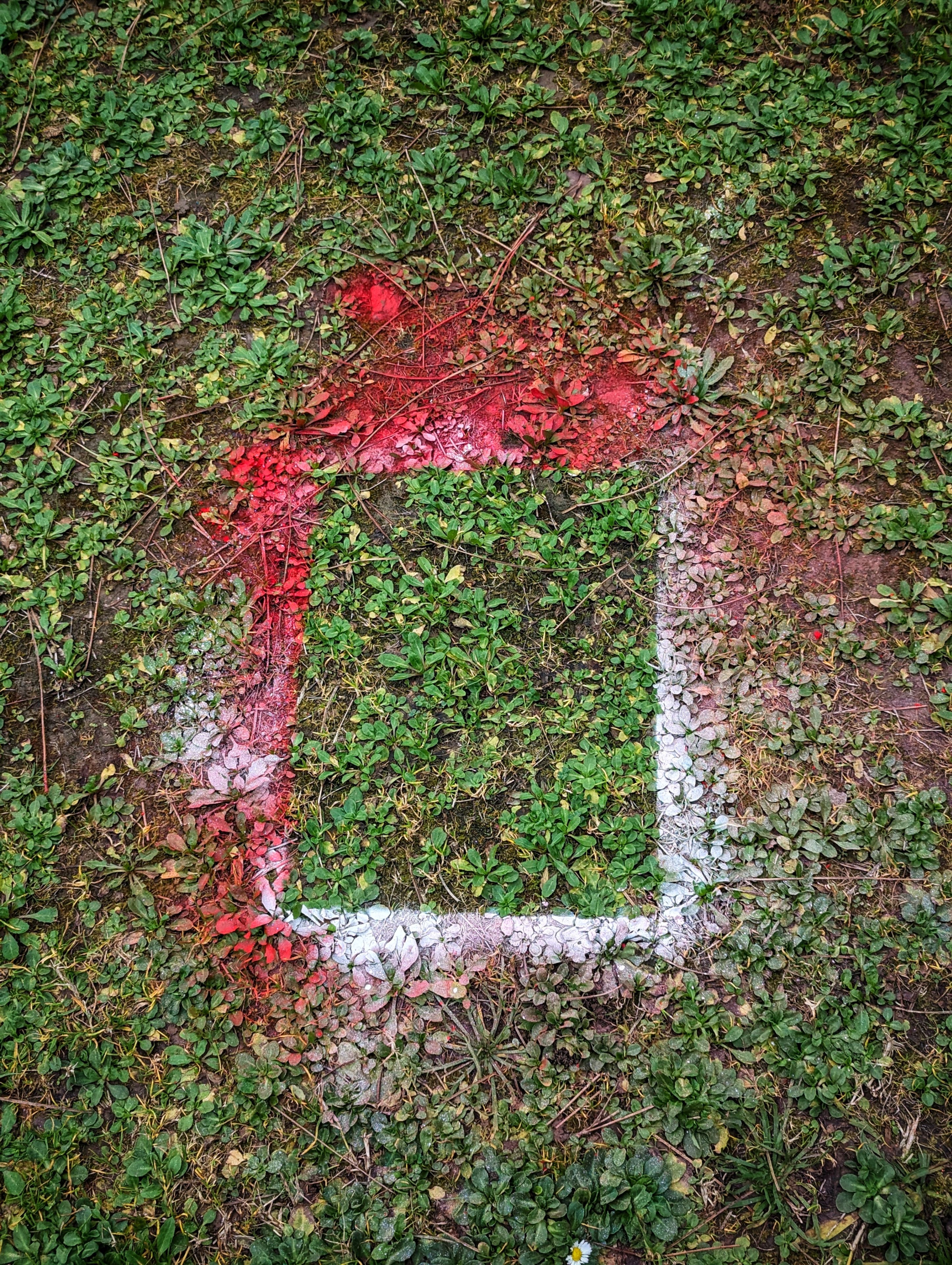 Grass frame by Guilhöm