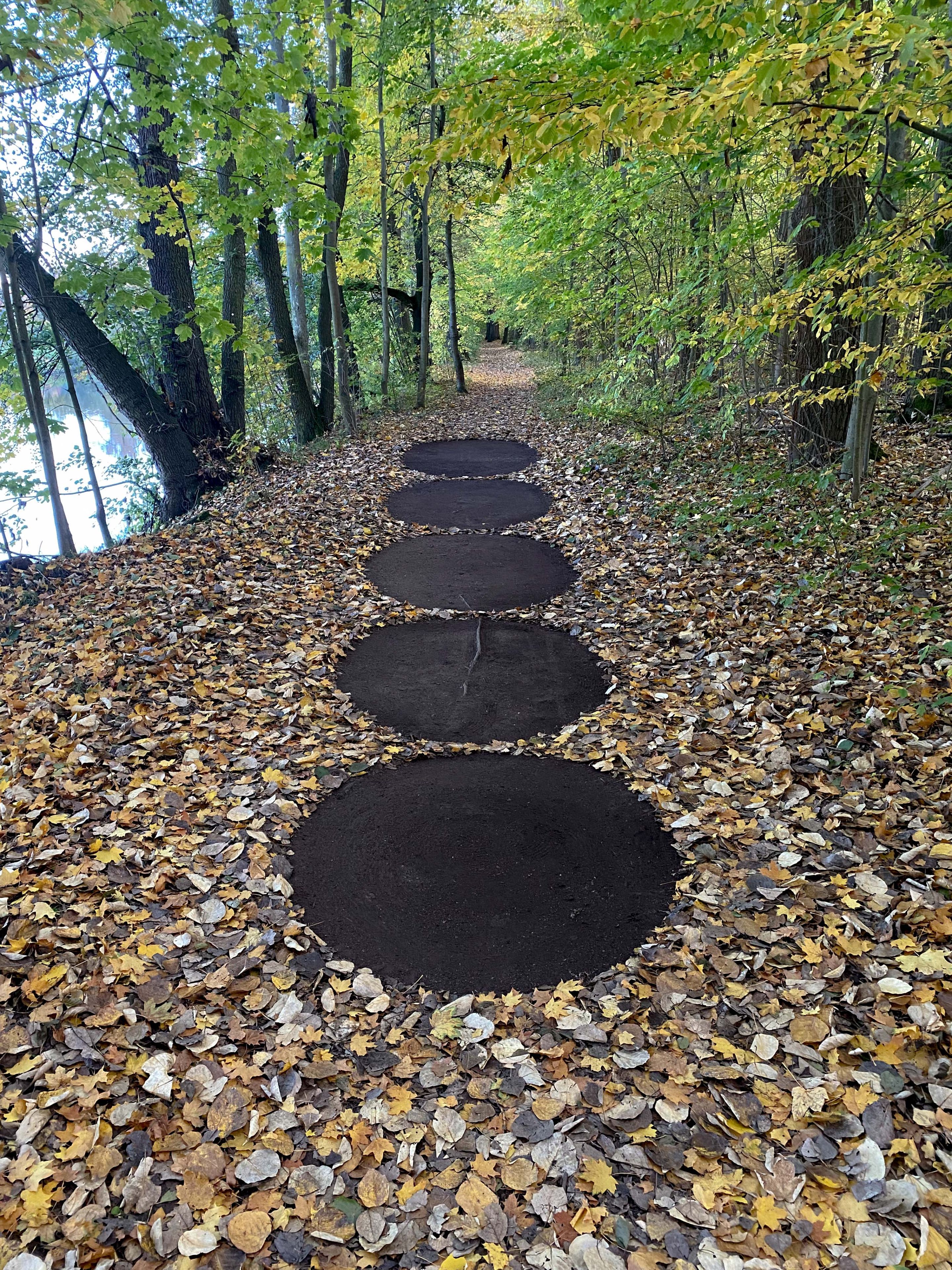 CIRCLES by Ellen Isabell Richter