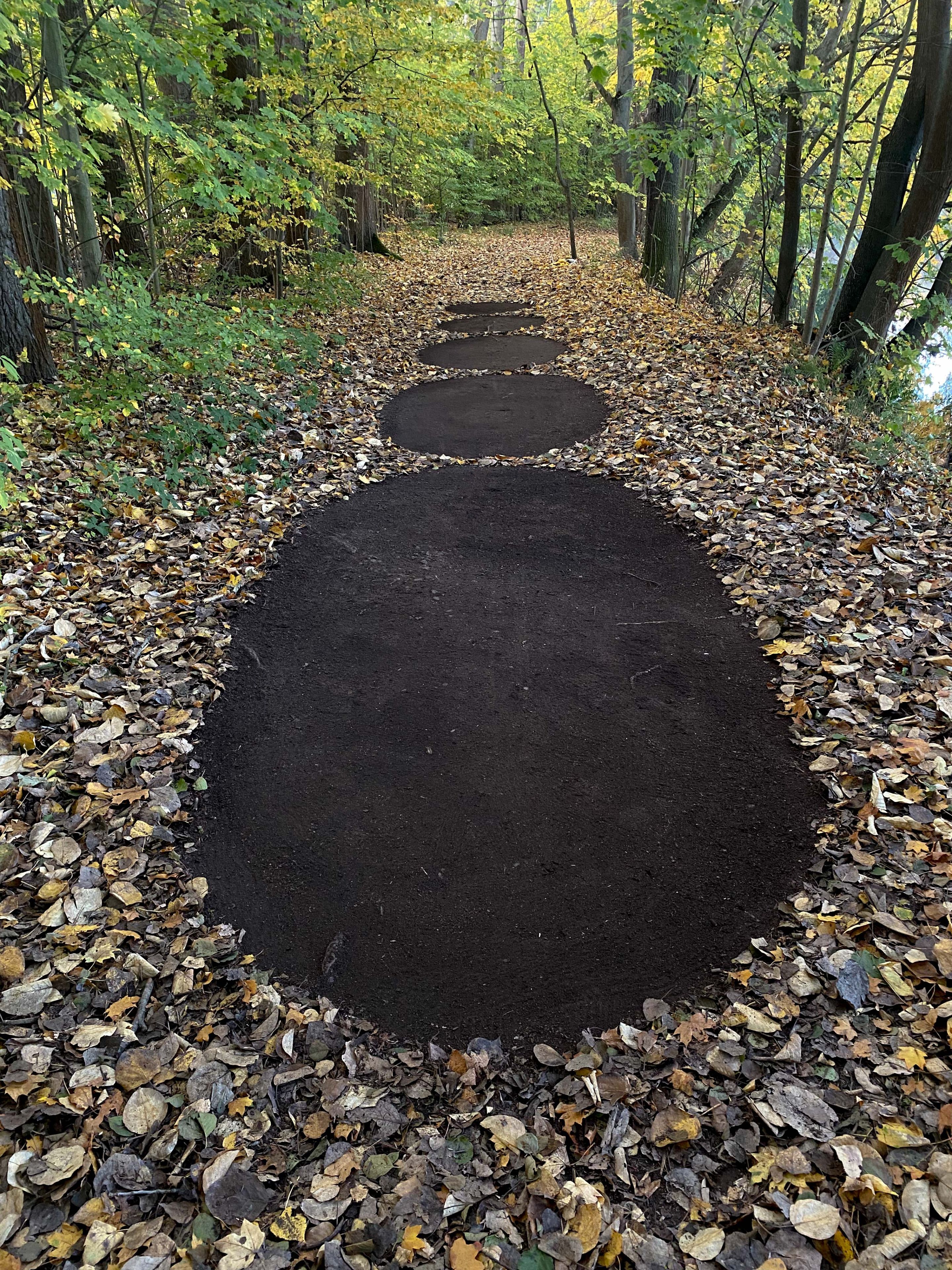CIRCLES by Ellen Isabell Richter