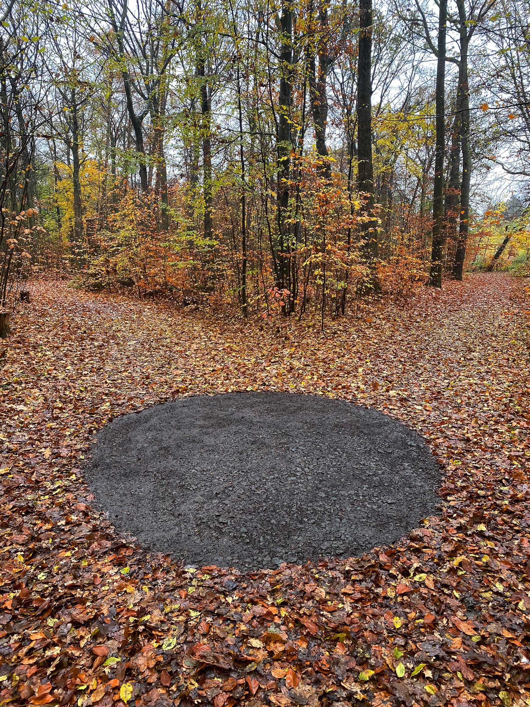 Circle Crimmitschauer Wald by Ellen Isabell Richter