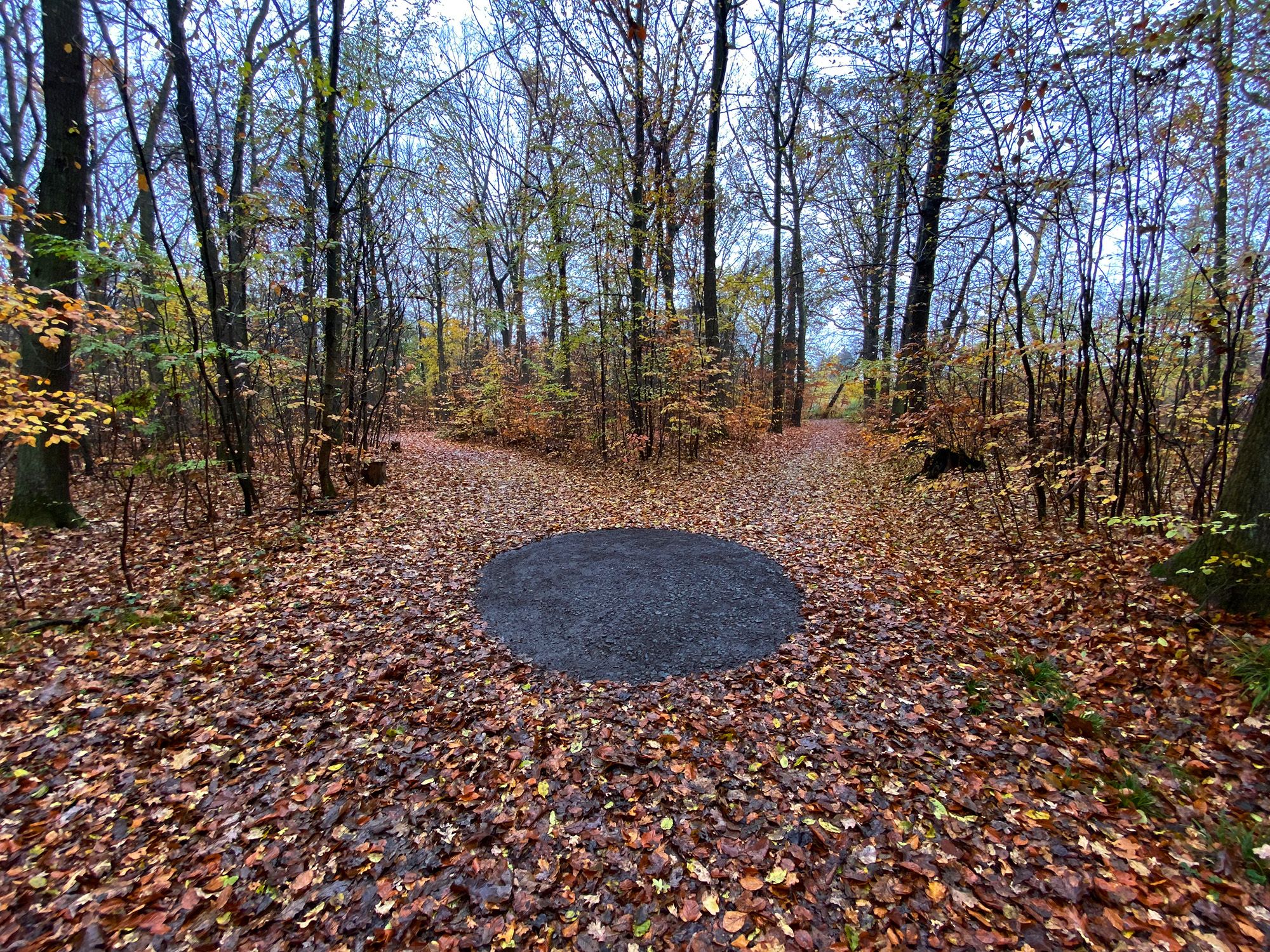 Circle Crimmitschauer Wald by Ellen Isabell Richter