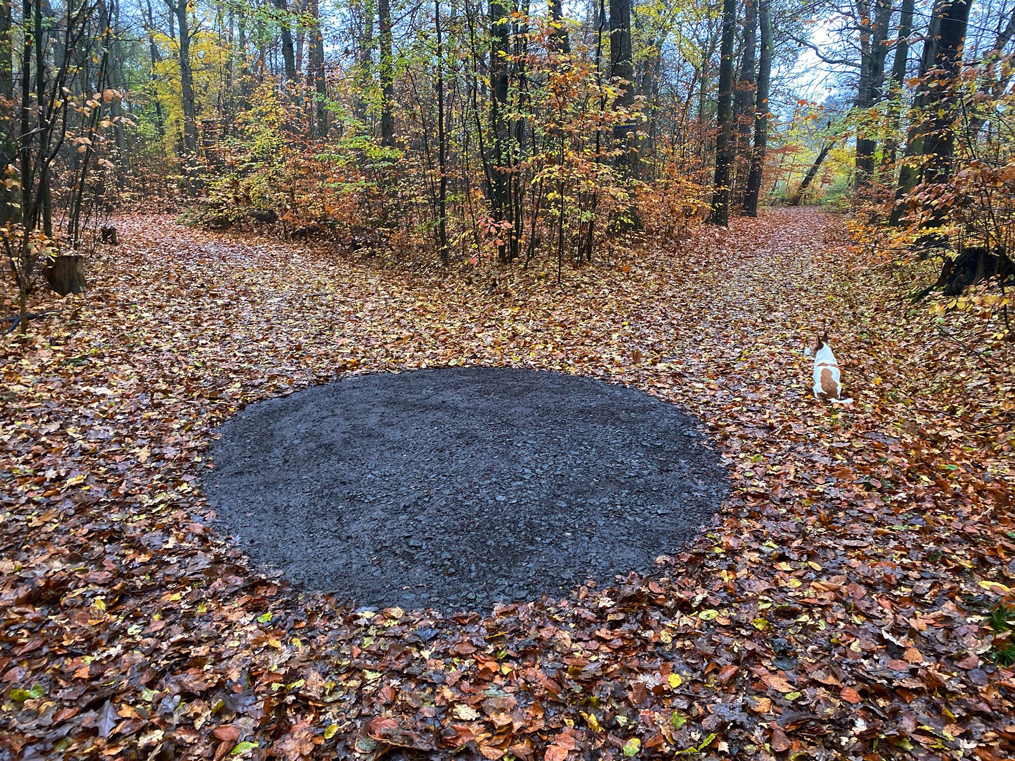 Circle Crimmitschauer Wald by Ellen Isabell Richter
