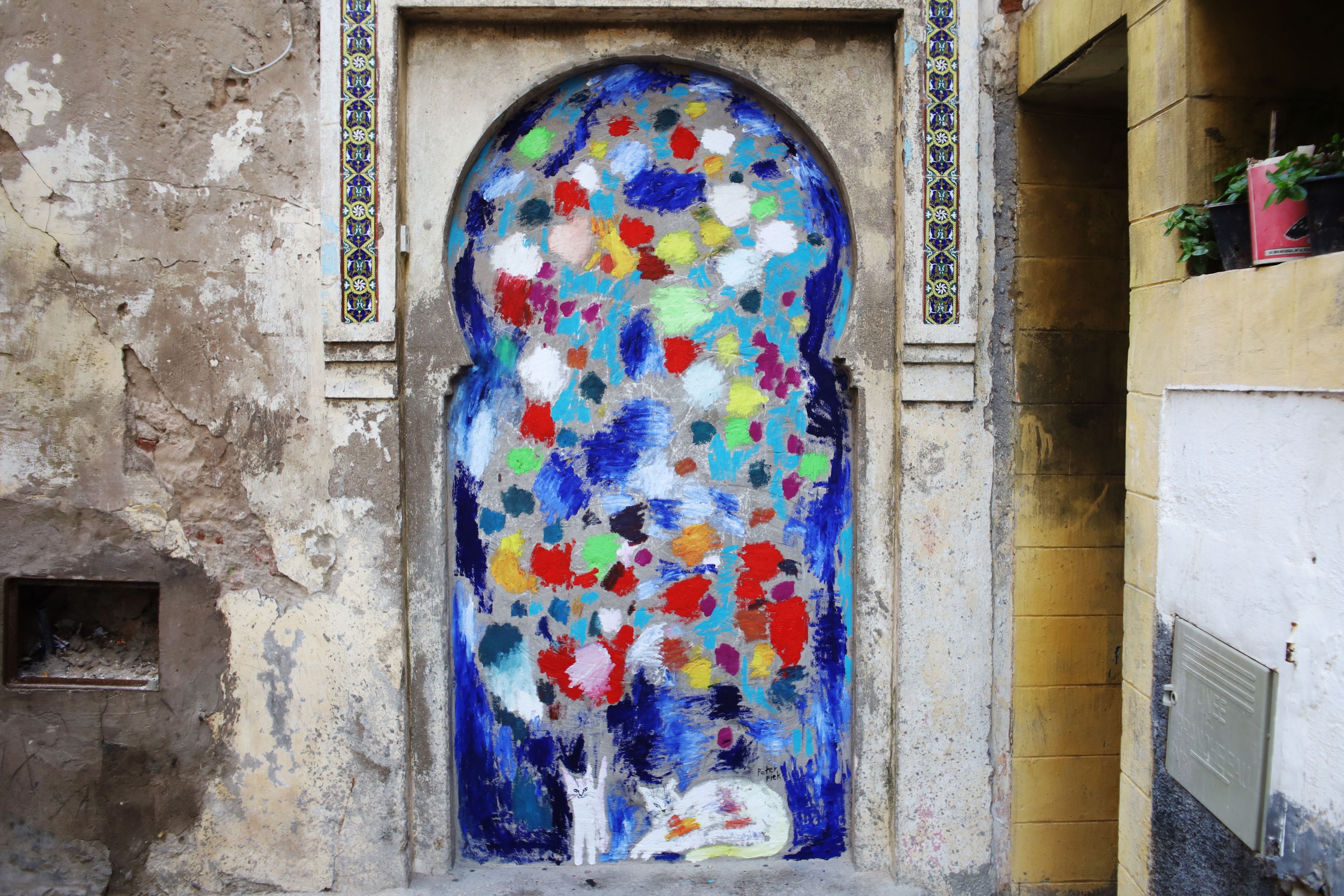 deux chats blancs by Peter Piek