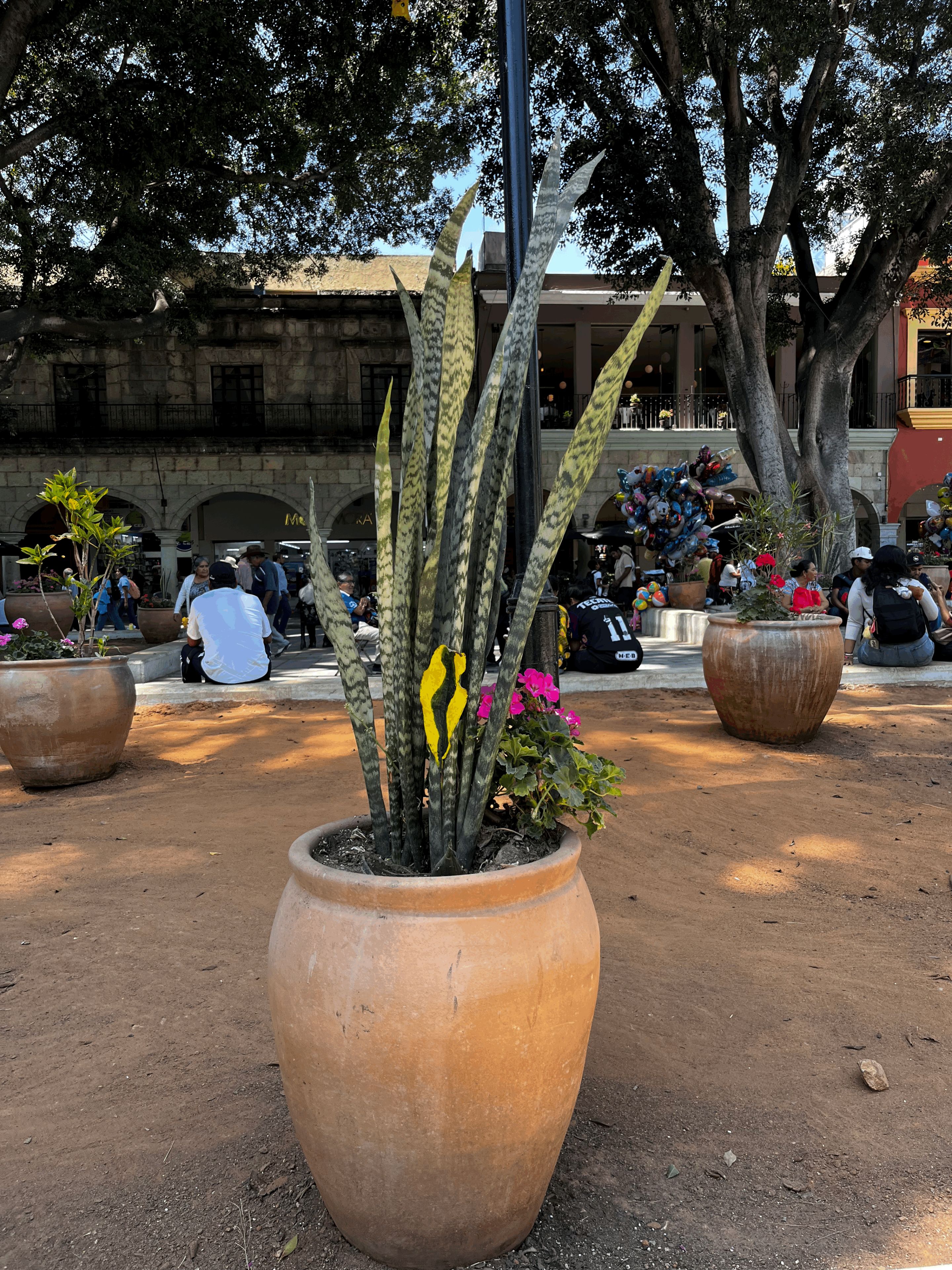 Waves in Oaxaca by Ellen Isabell Richter