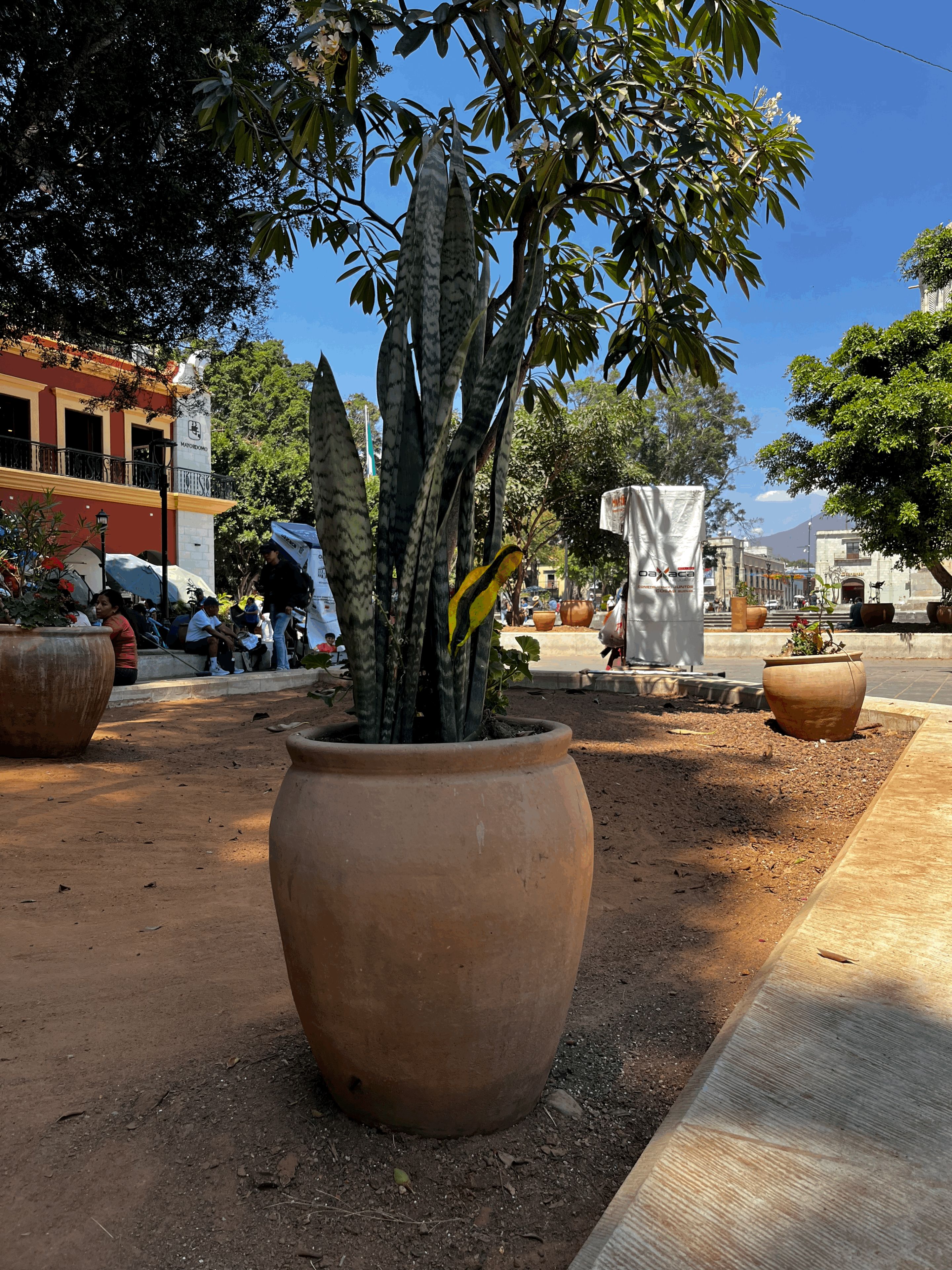 Waves in Oaxaca by Ellen Isabell Richter