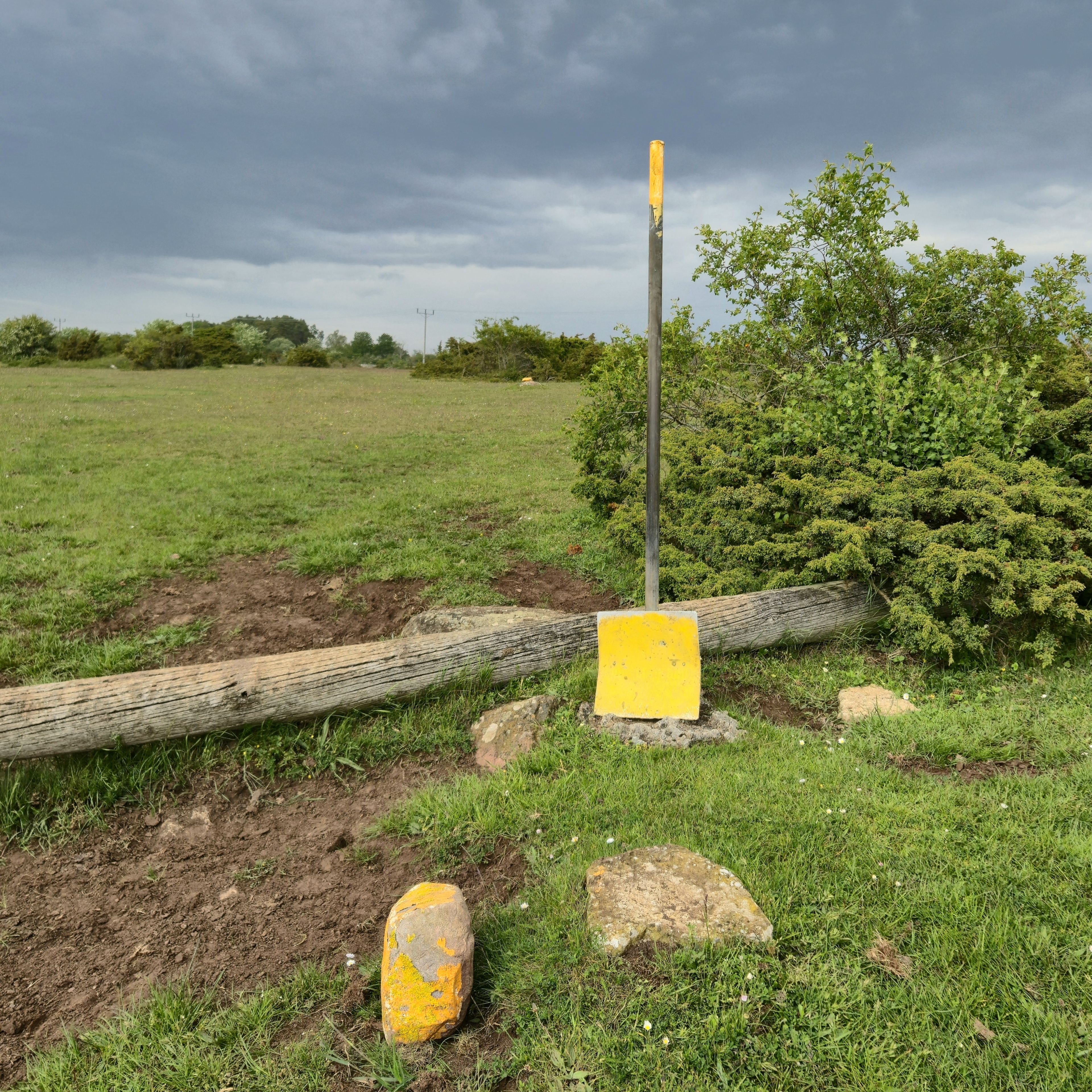 Yellow sign by Michael Trepel