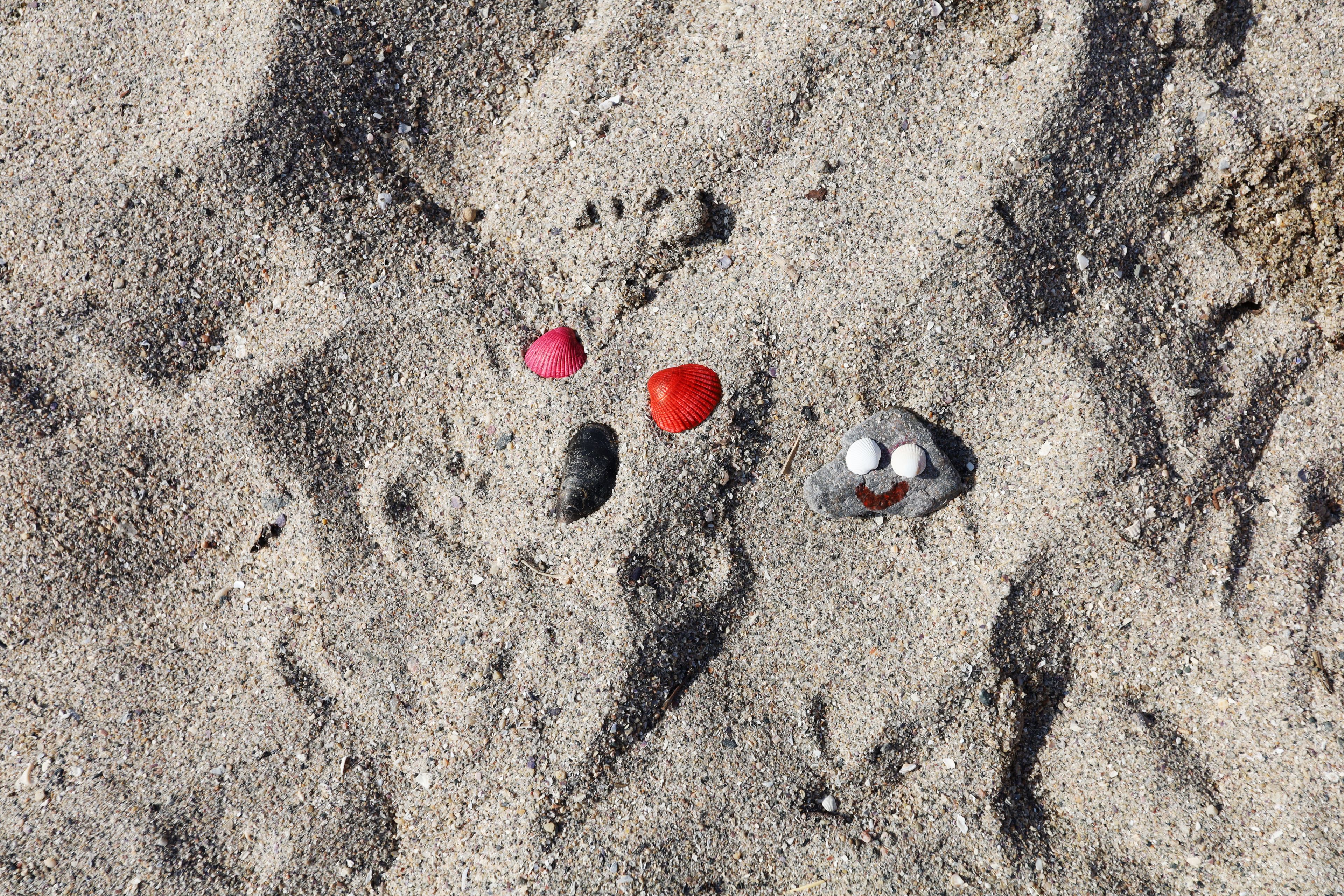 Muscheln by Anton Mauro