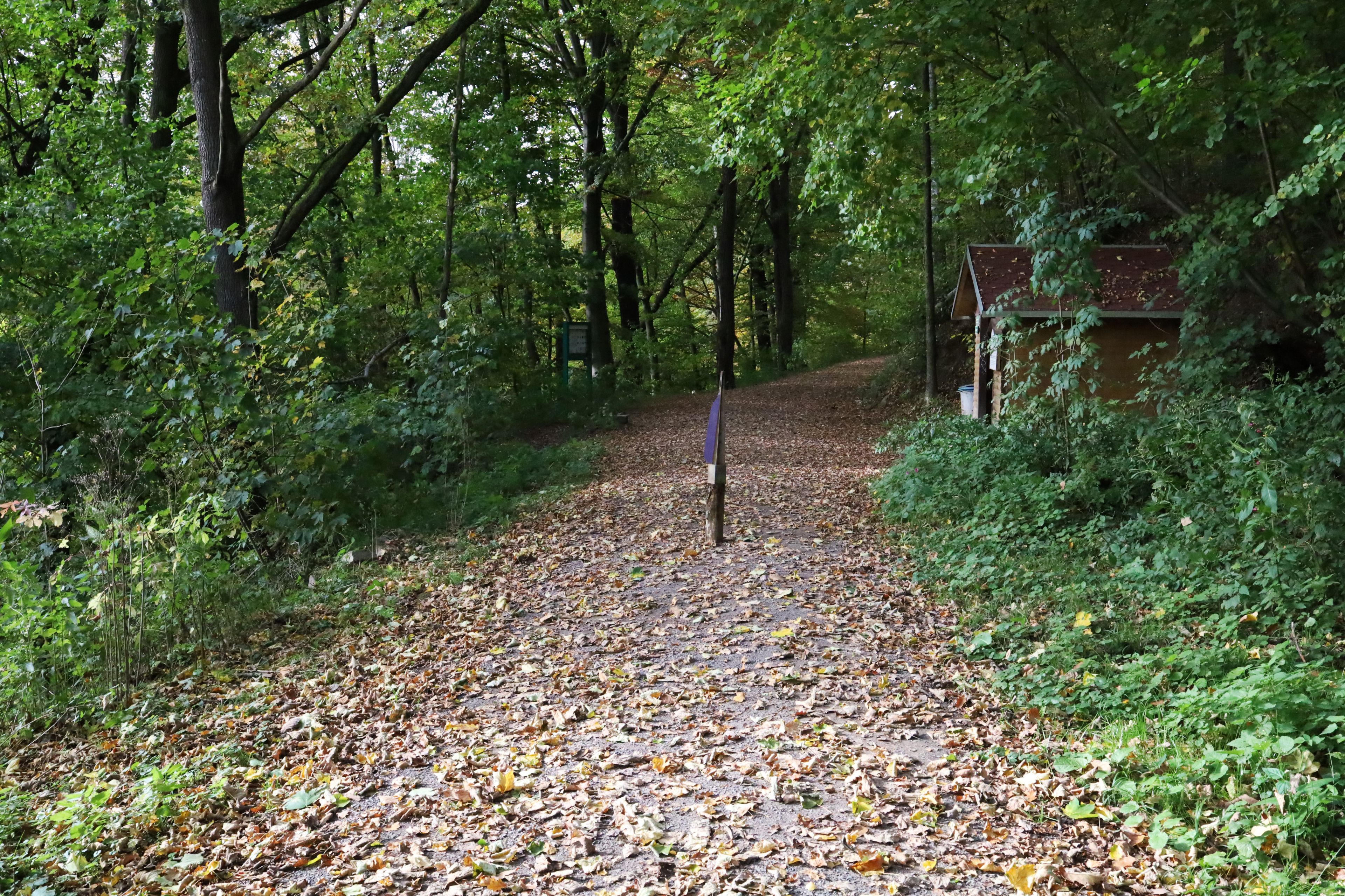 umgedreht und nicht aufgehangen by Johannes Myller, Peter Piek