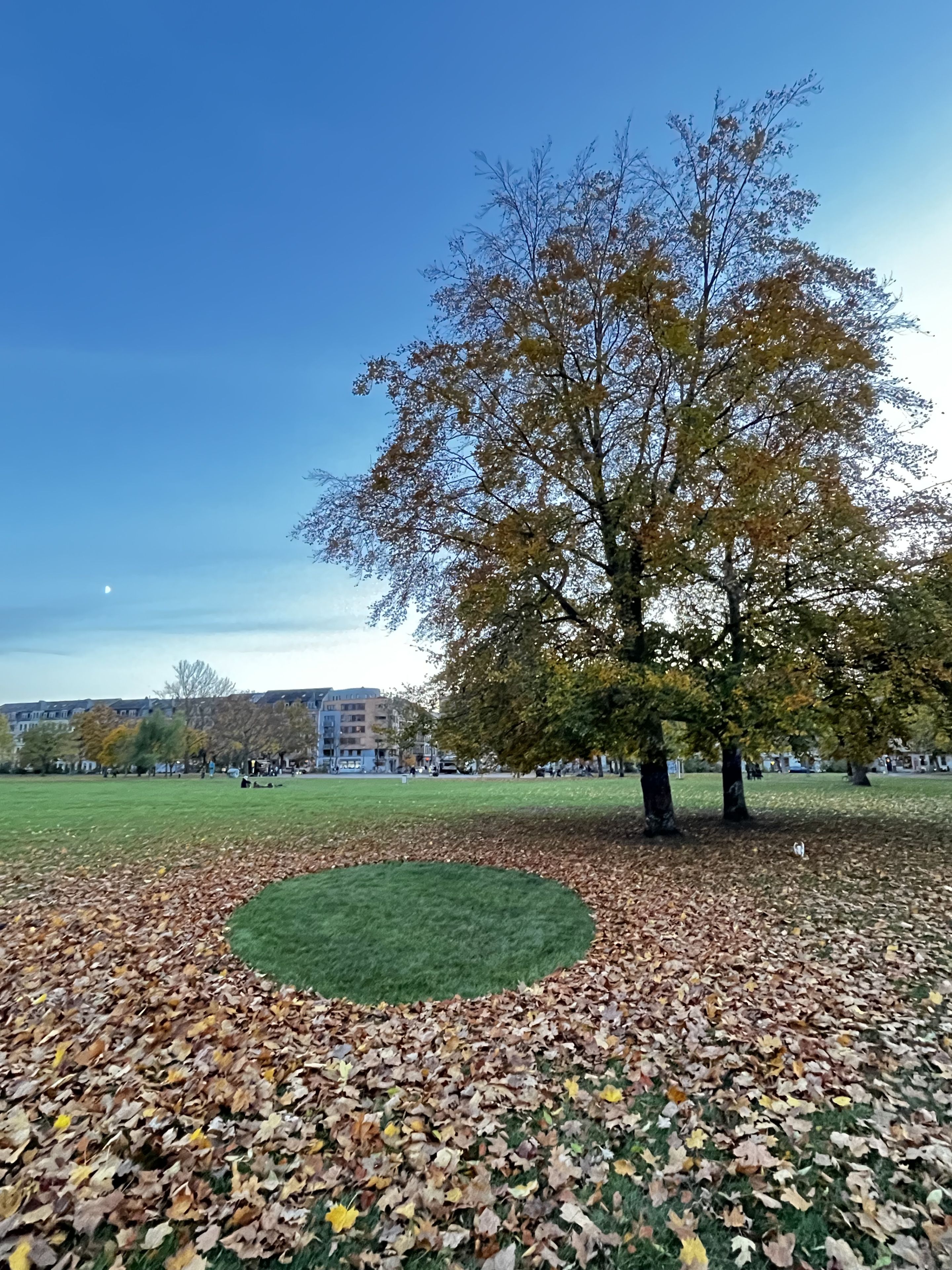 Circle at A Park by Ellen Isabell Richter