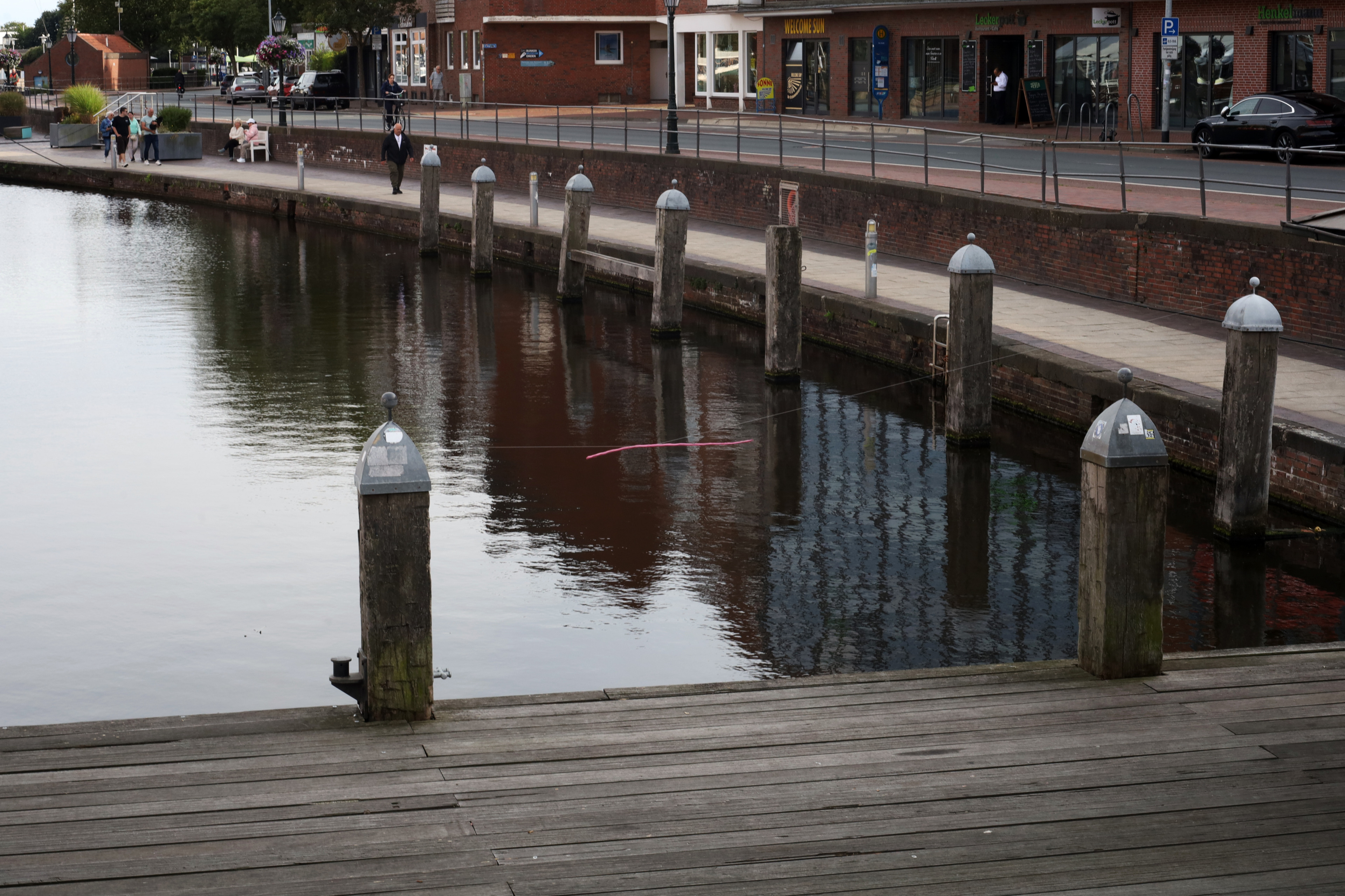 Emden Rosa by Peter Piek