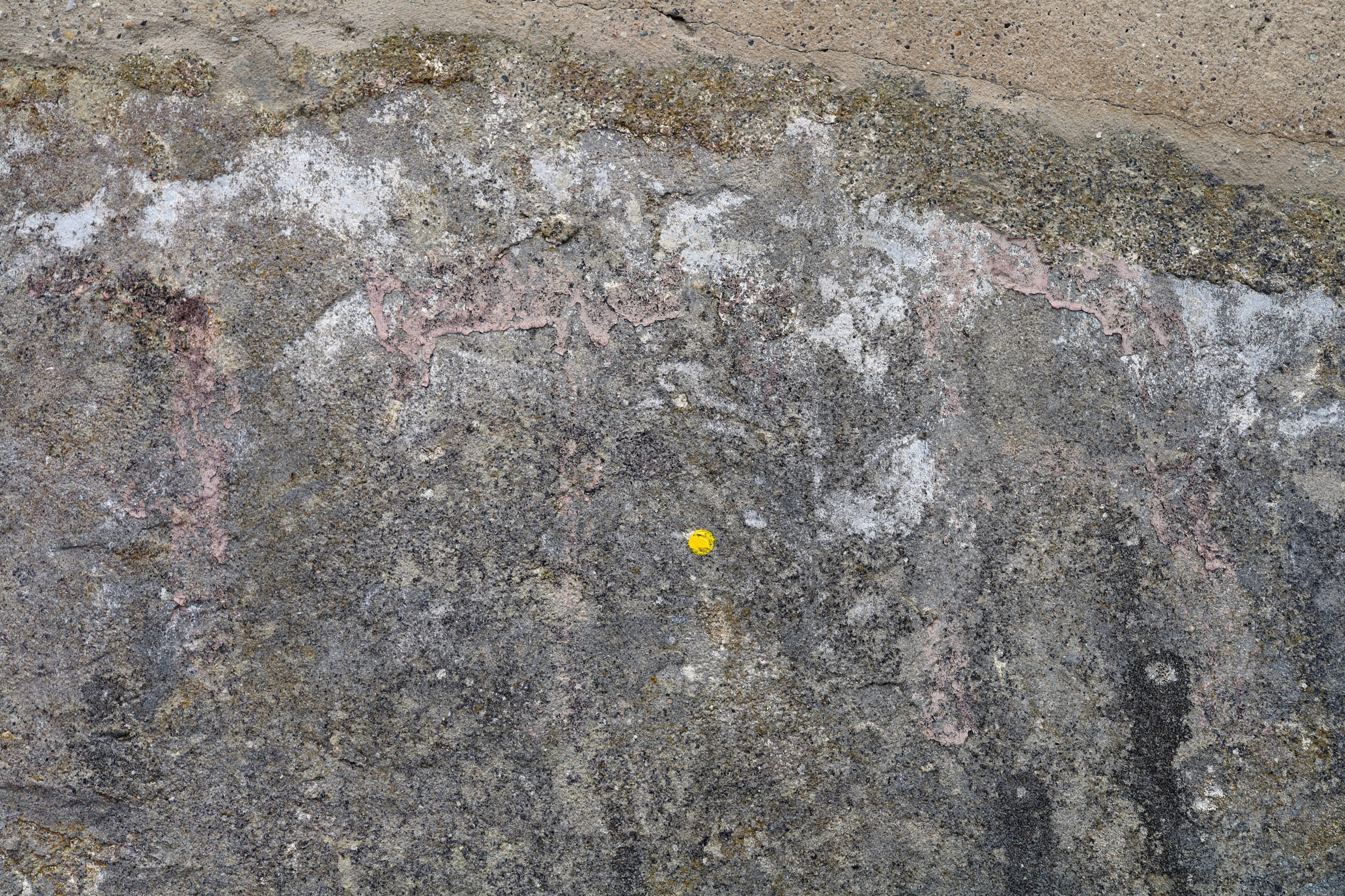 little yellow dot by Peter Piek
