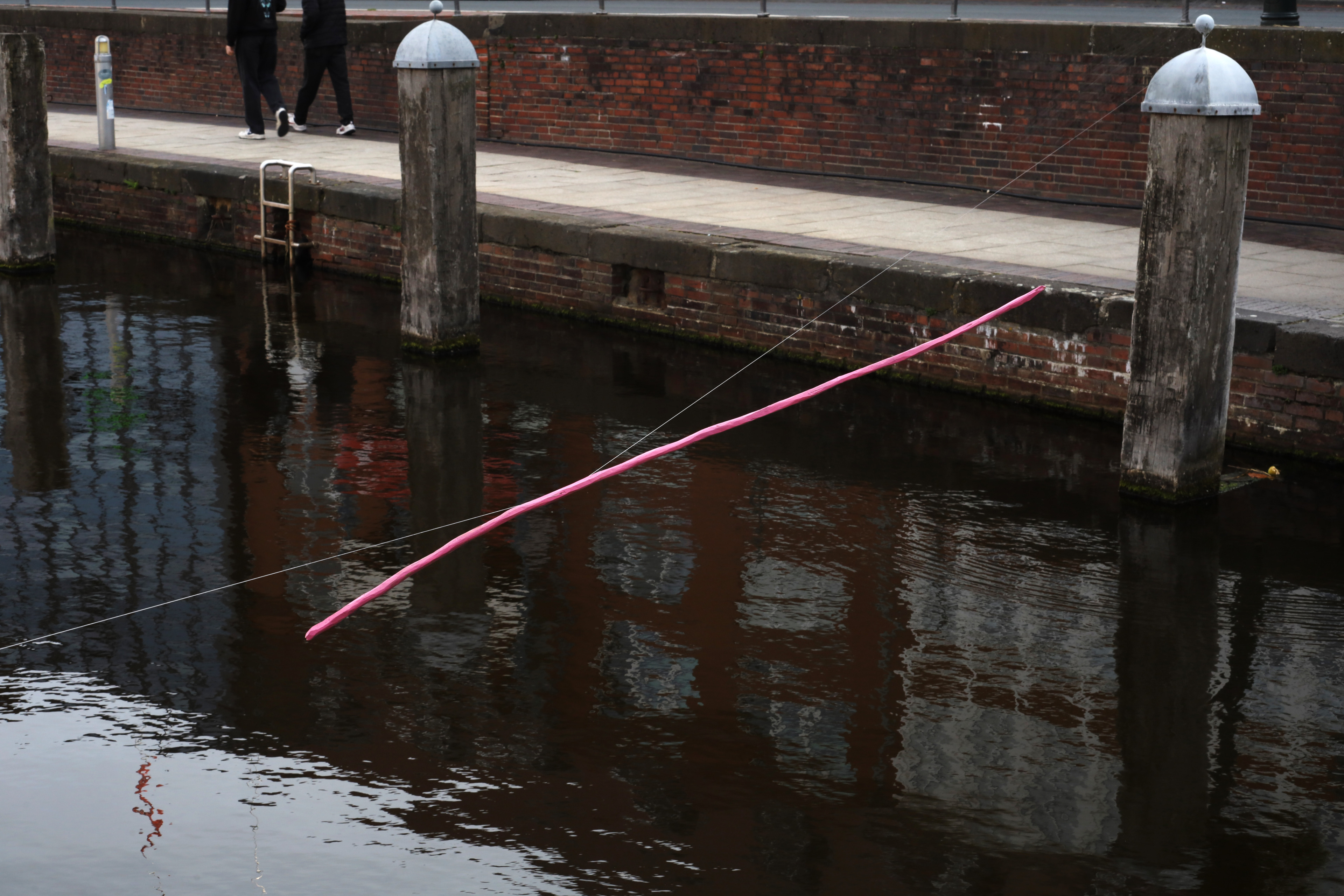 Emden Rosa by Peter Piek