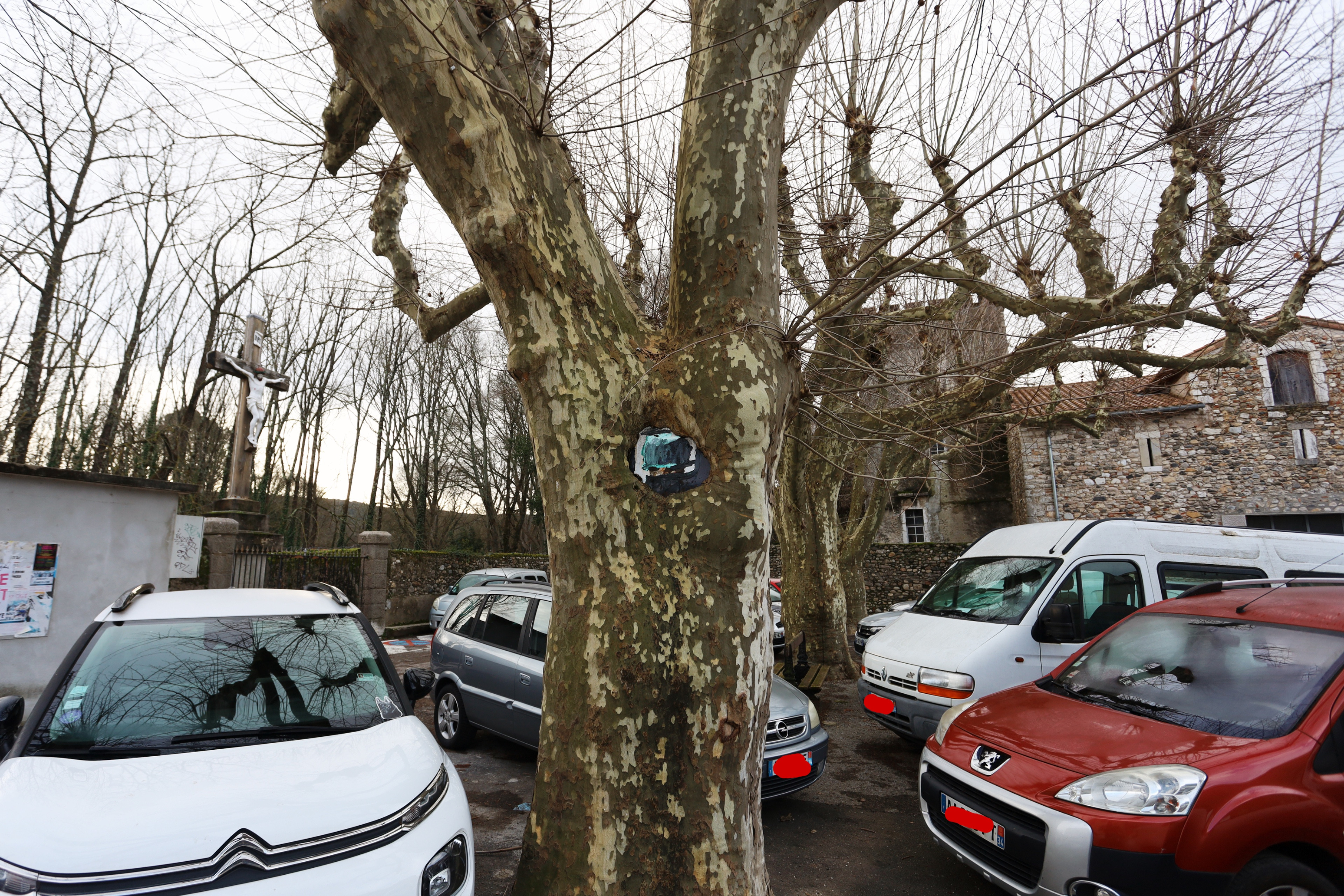 L'arbre est le blason sur by Peter Piek