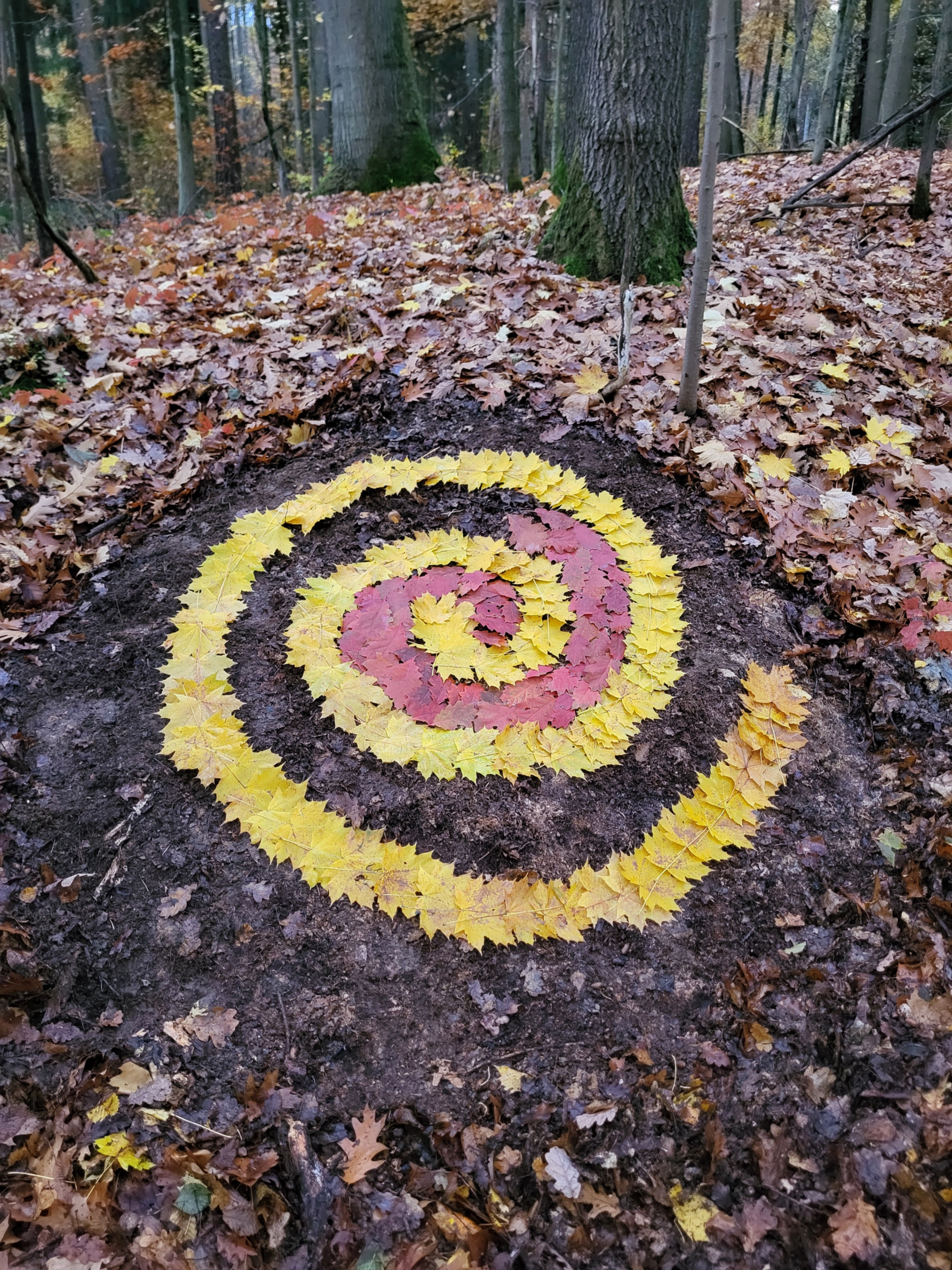 Spirale by Michael Spiegler