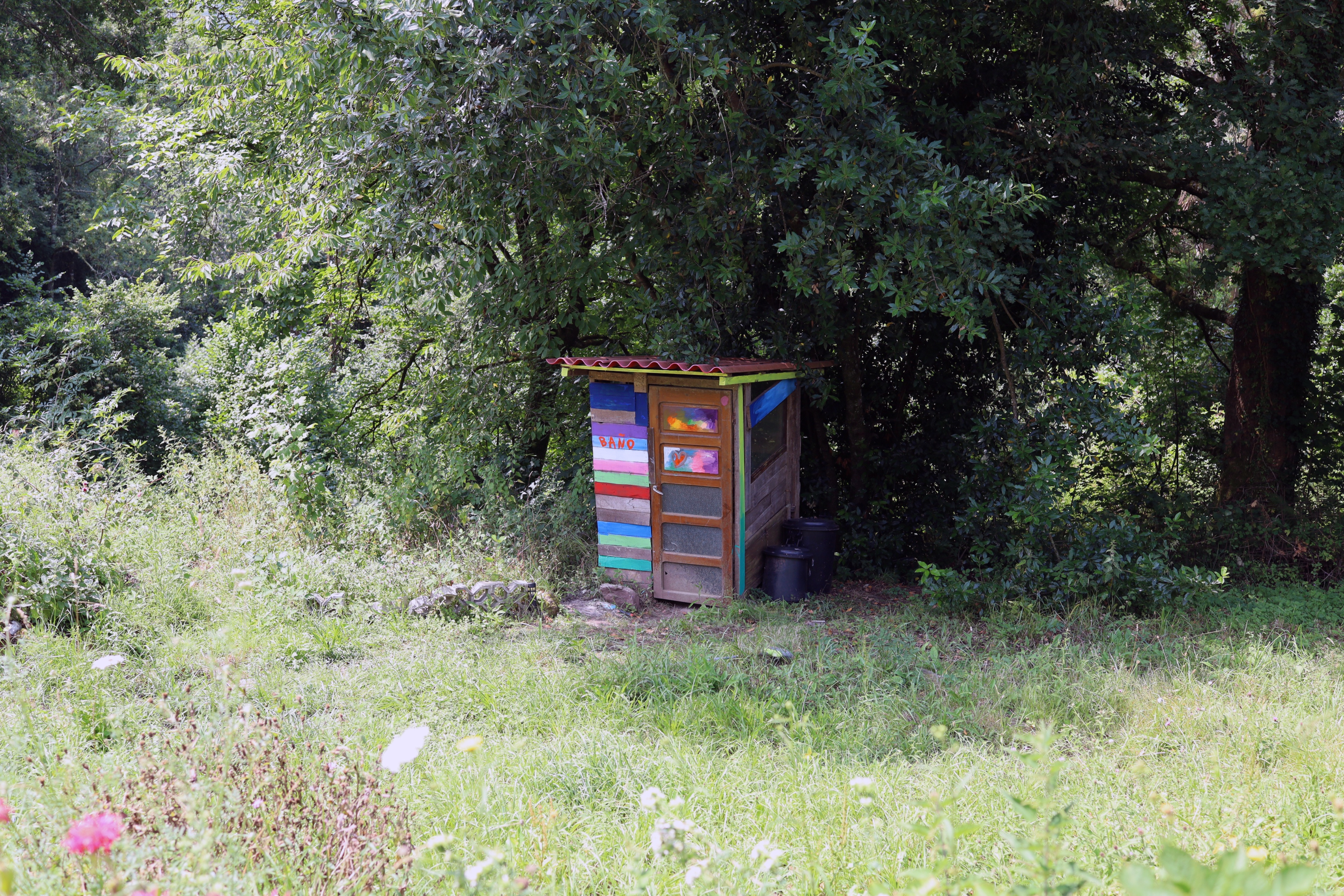 Bano by Peter Piek, Anton Mauro Fuchs