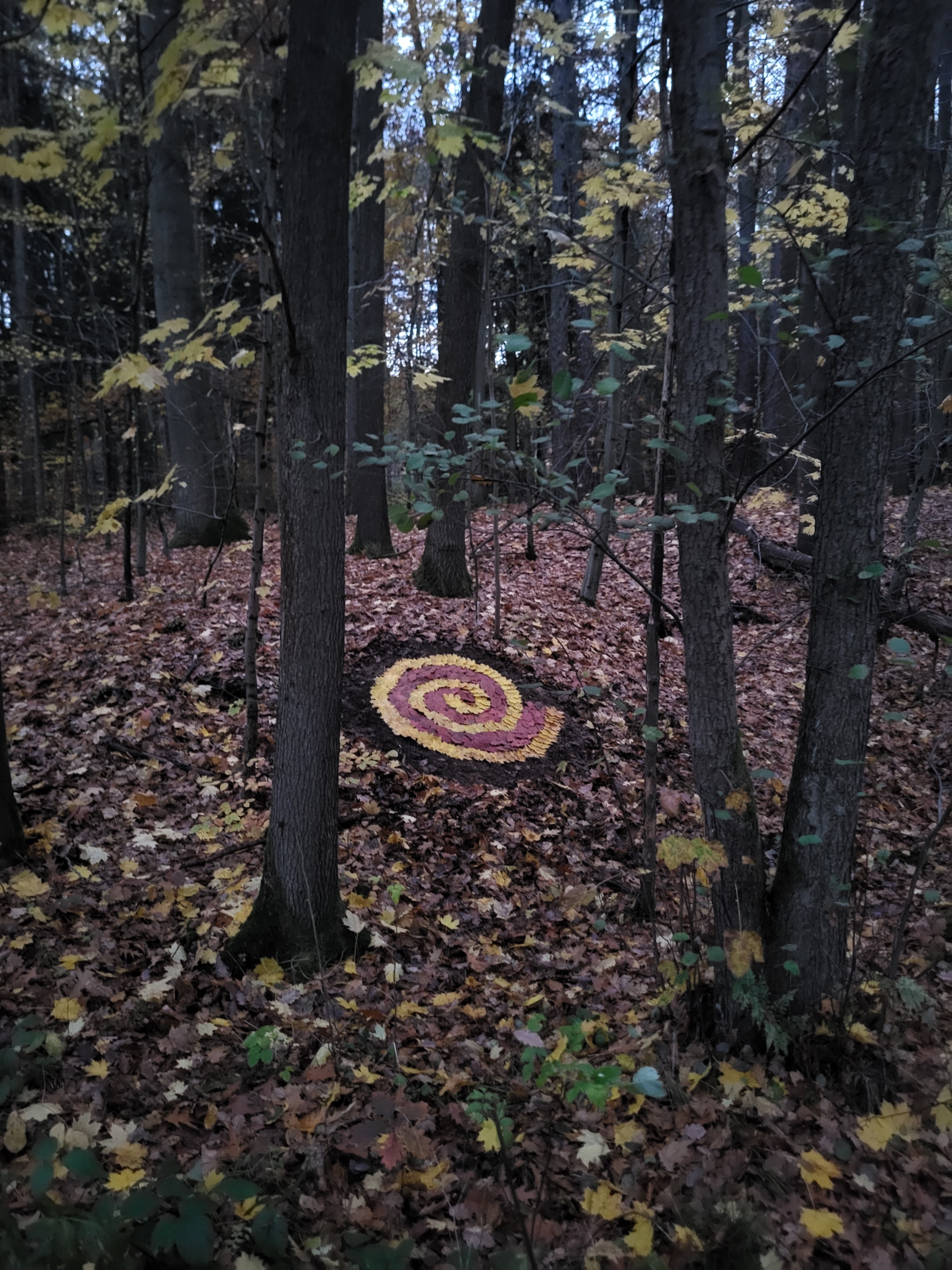 Spirale by Michael Spiegler