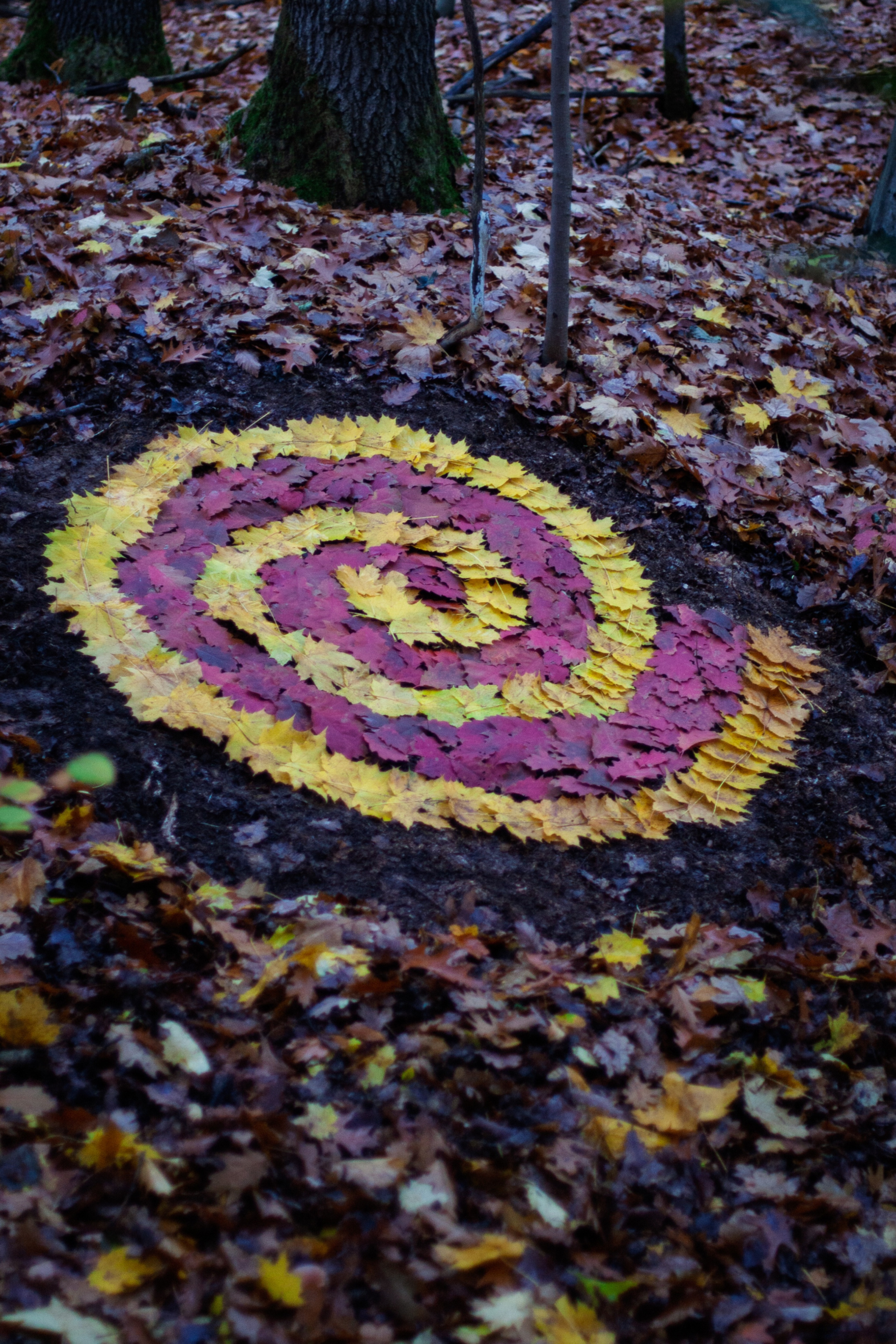 Spirale by Michael Spiegler