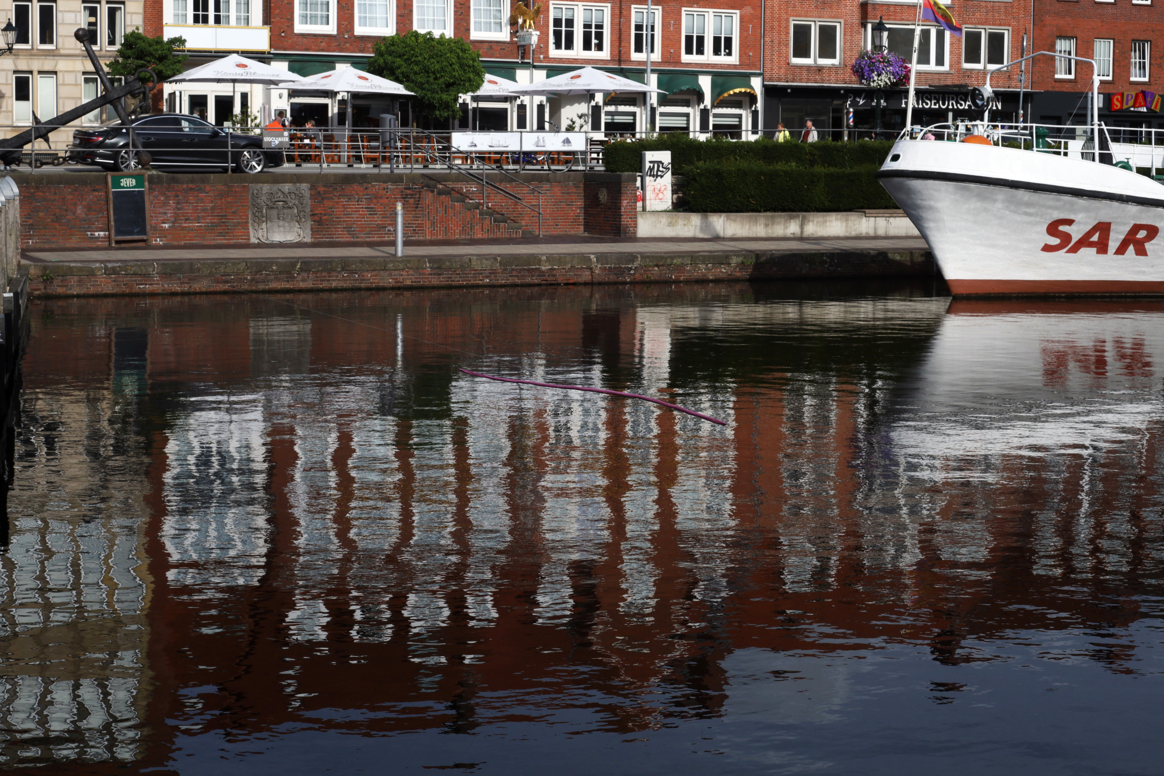 Emden Rosa by Peter Piek