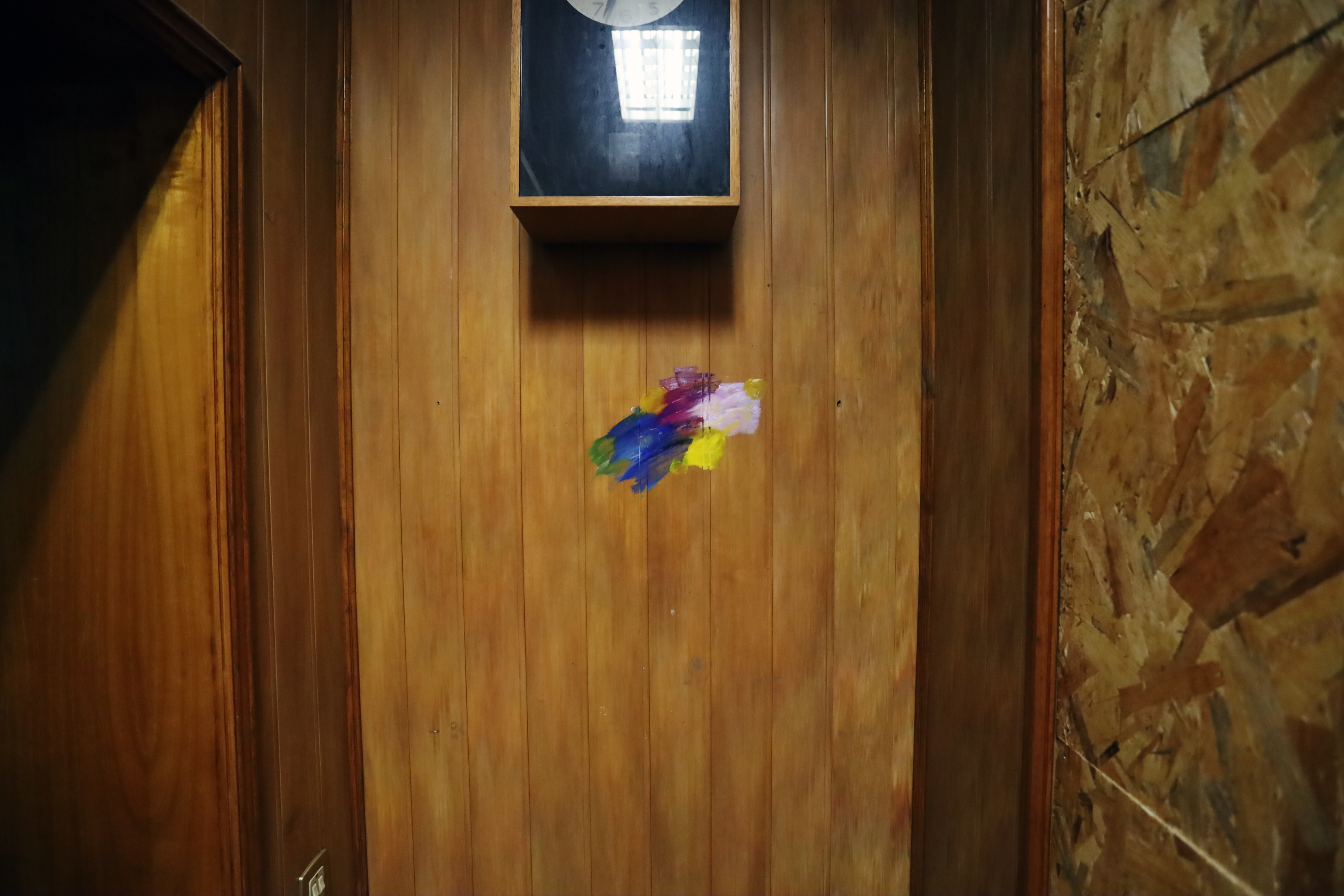 BOTA Painting by Peter Piek