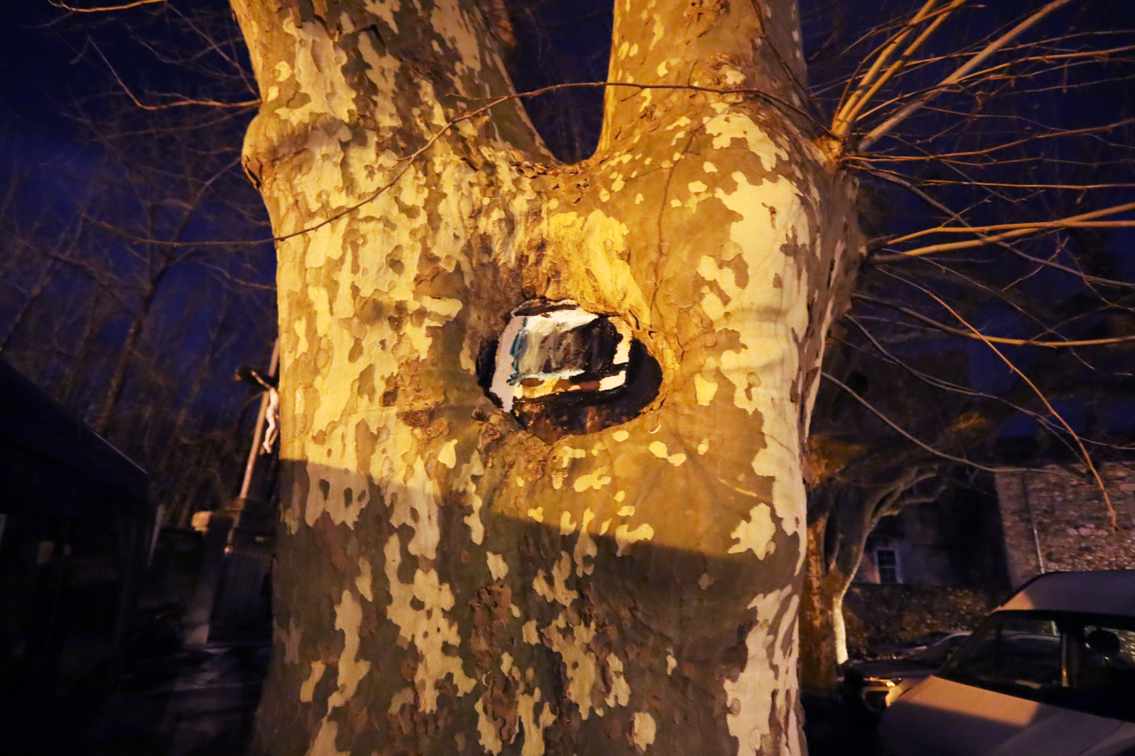 L'arbre est le blason sur by Peter Piek