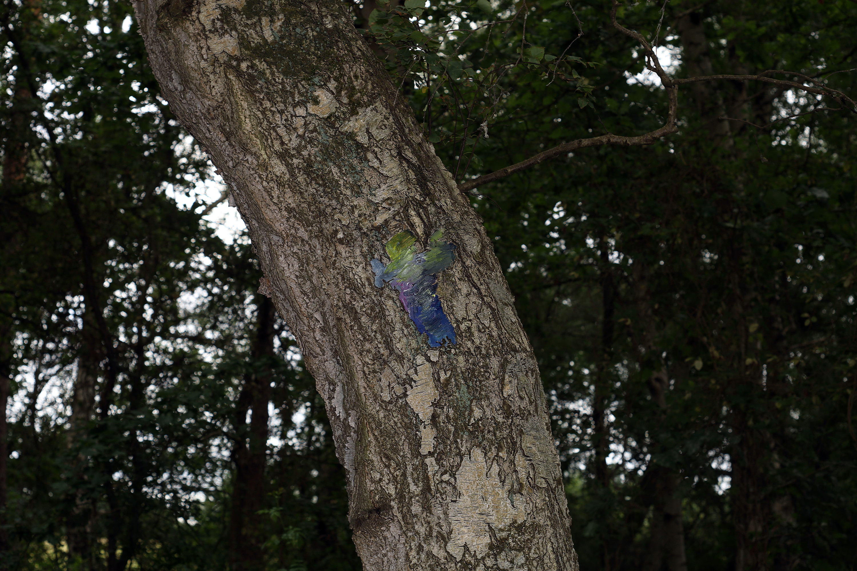Ampelrindenfigur by Peter Piek
